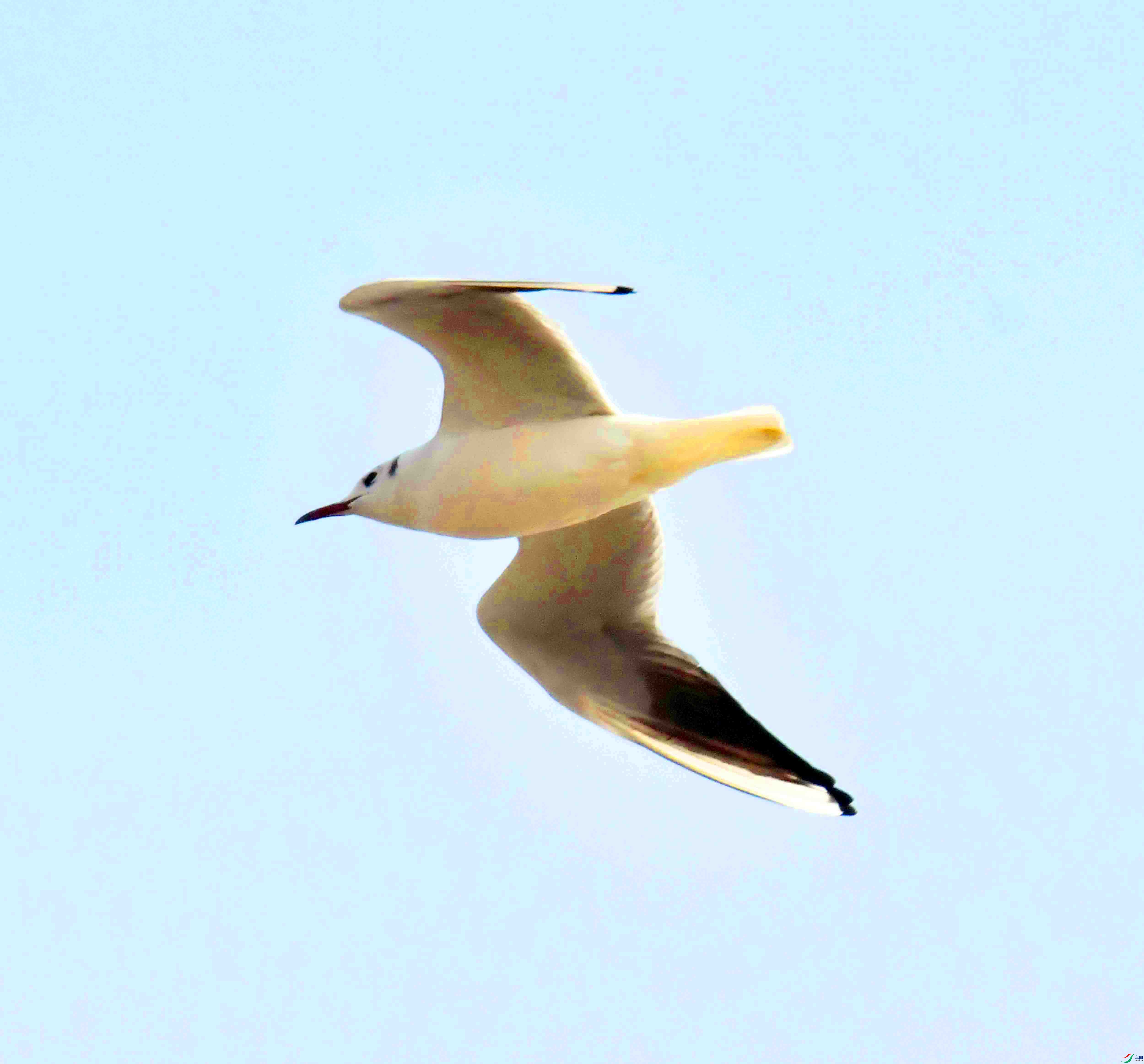 DSC_0424.JPG