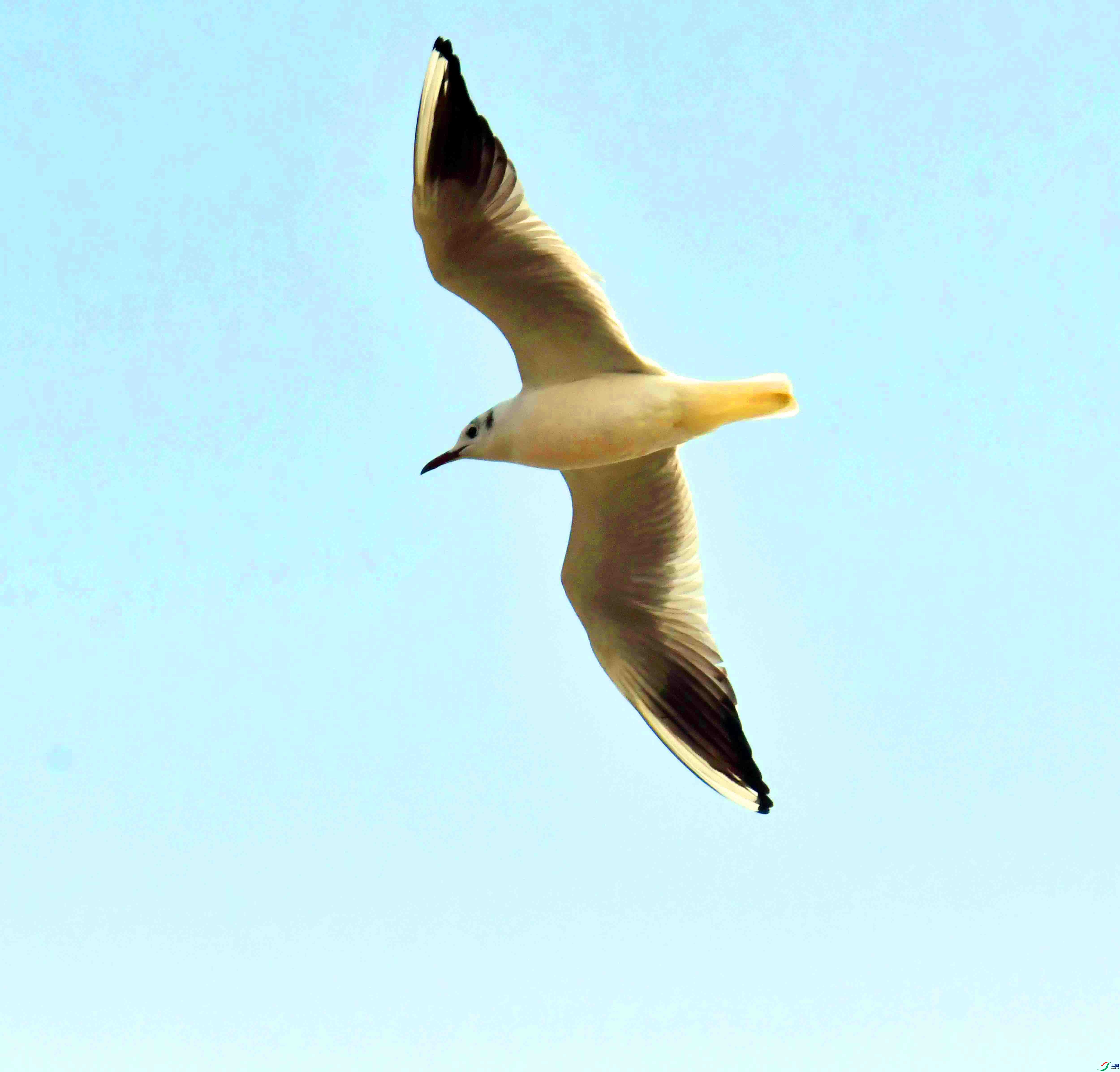 DSC_0423.JPG
