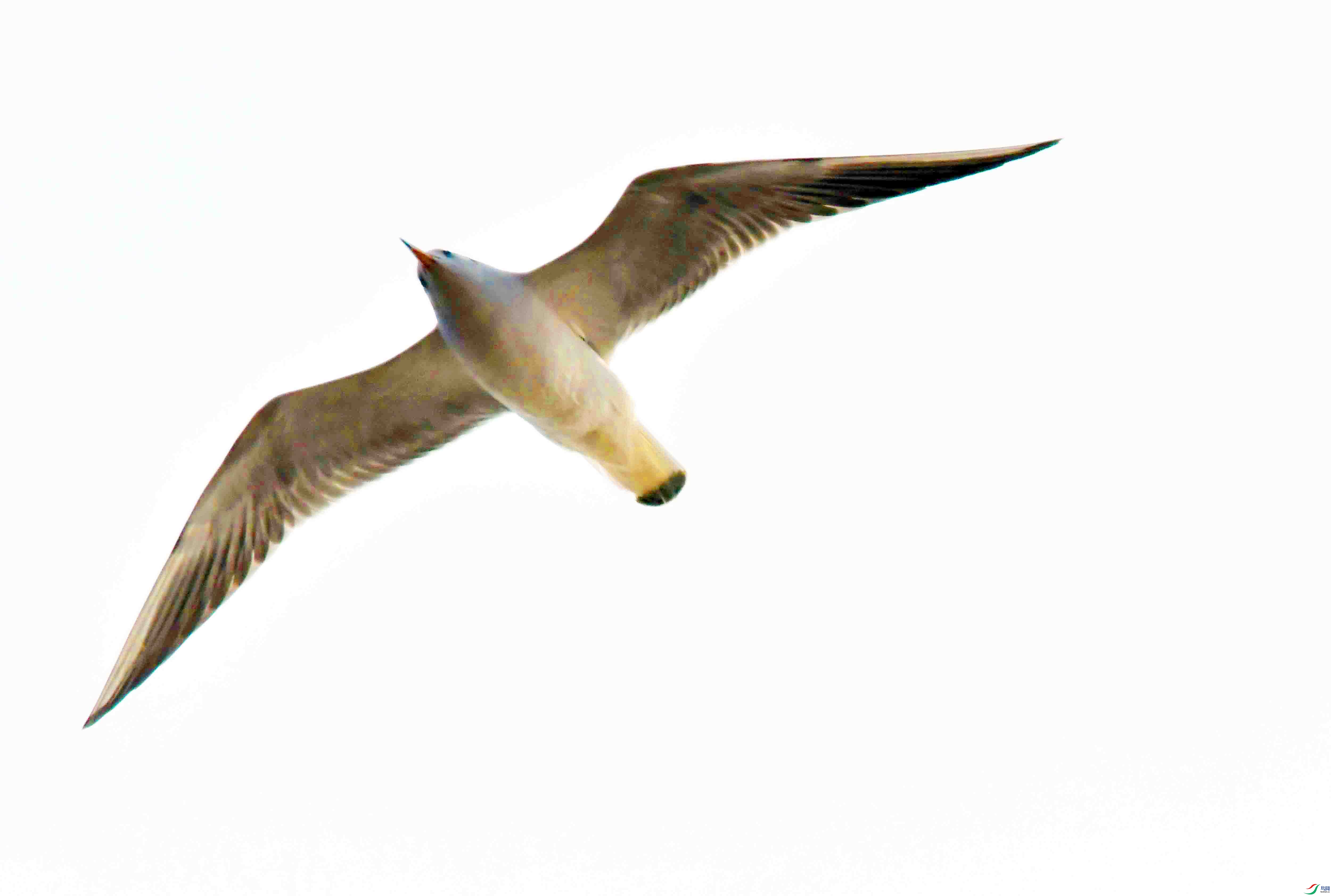 DSC_0431.JPG