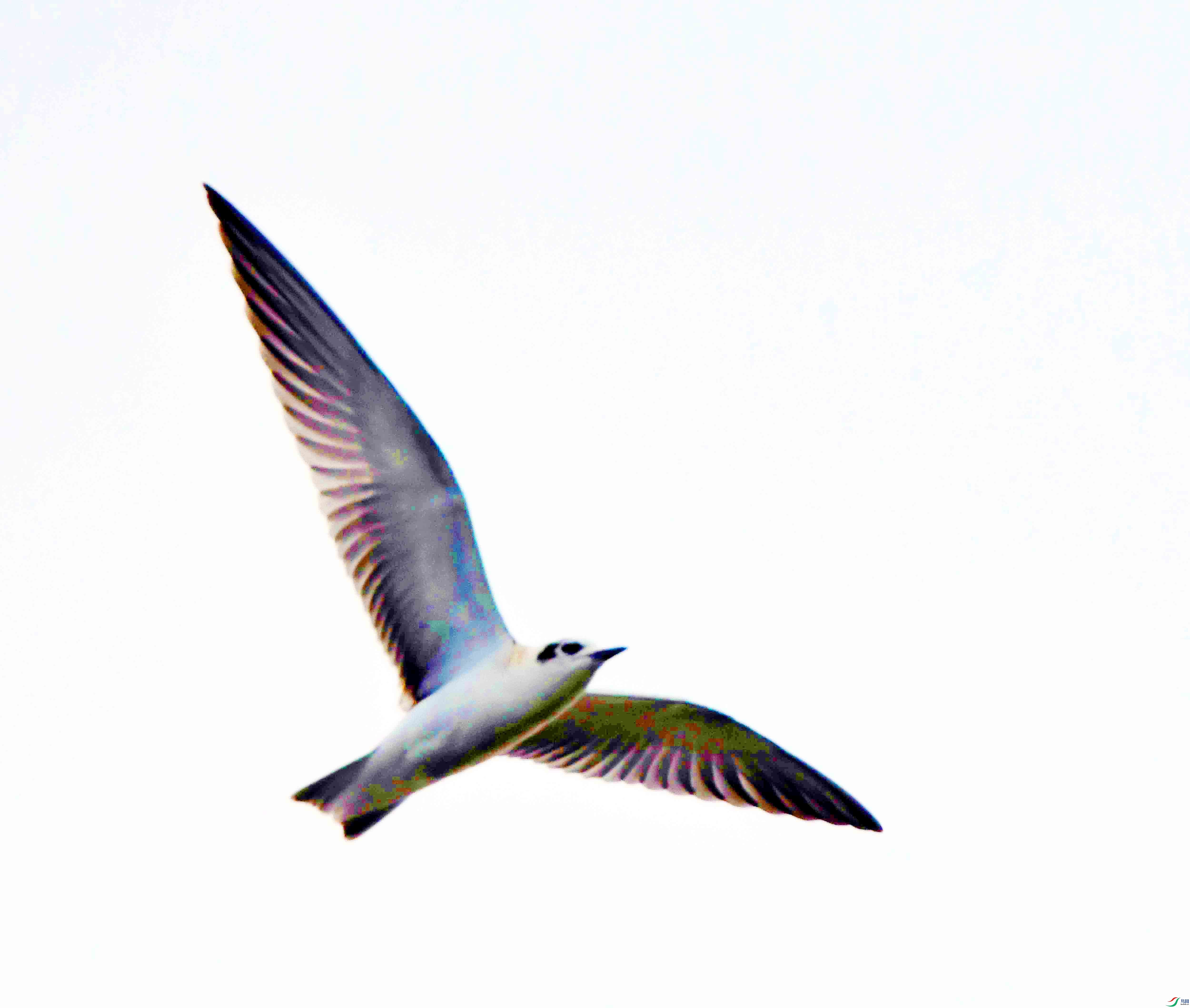 DSC_0578.JPG
