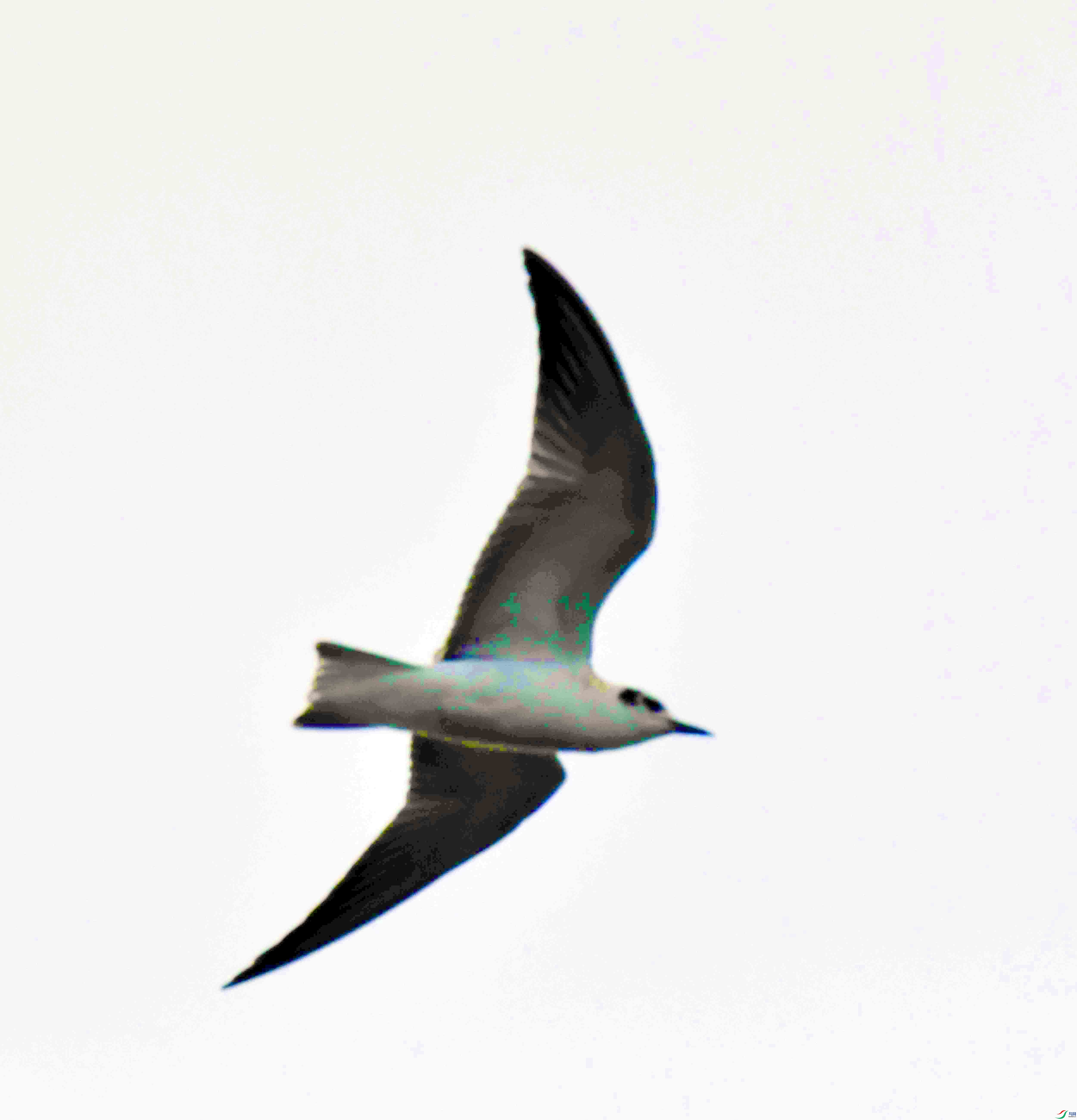 DSC_0582.JPG