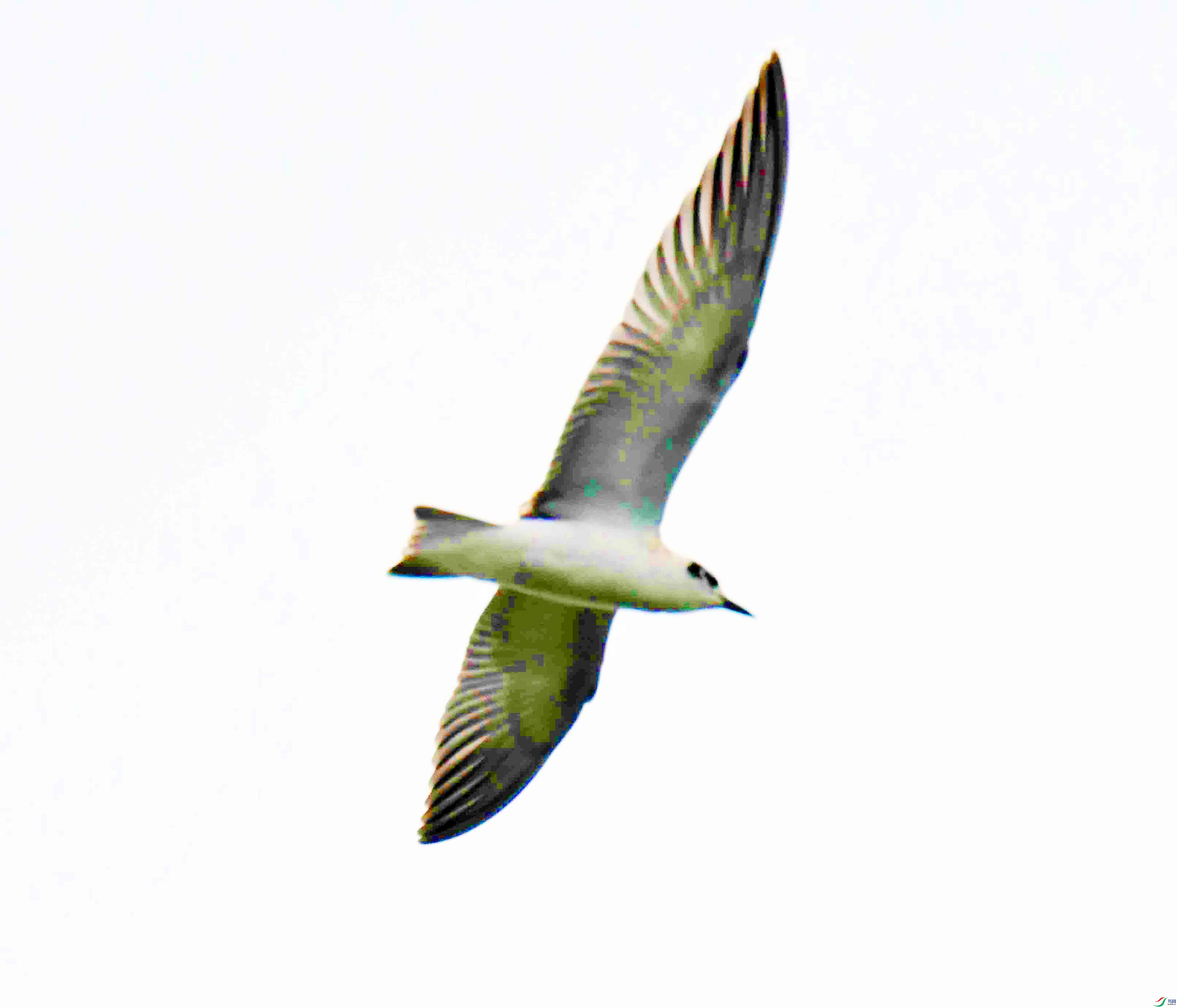 DSC_0583.JPG