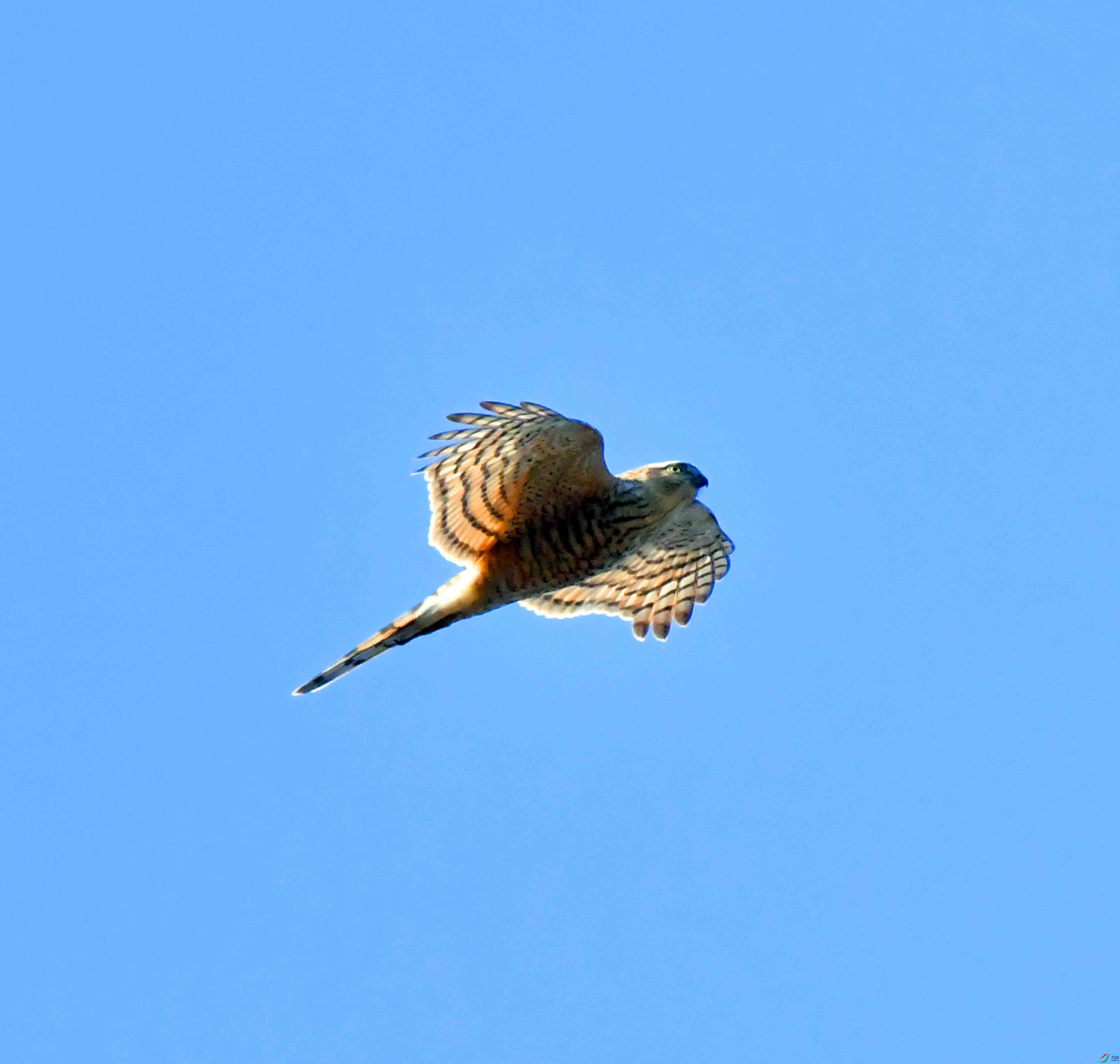 DSC_2615.JPG