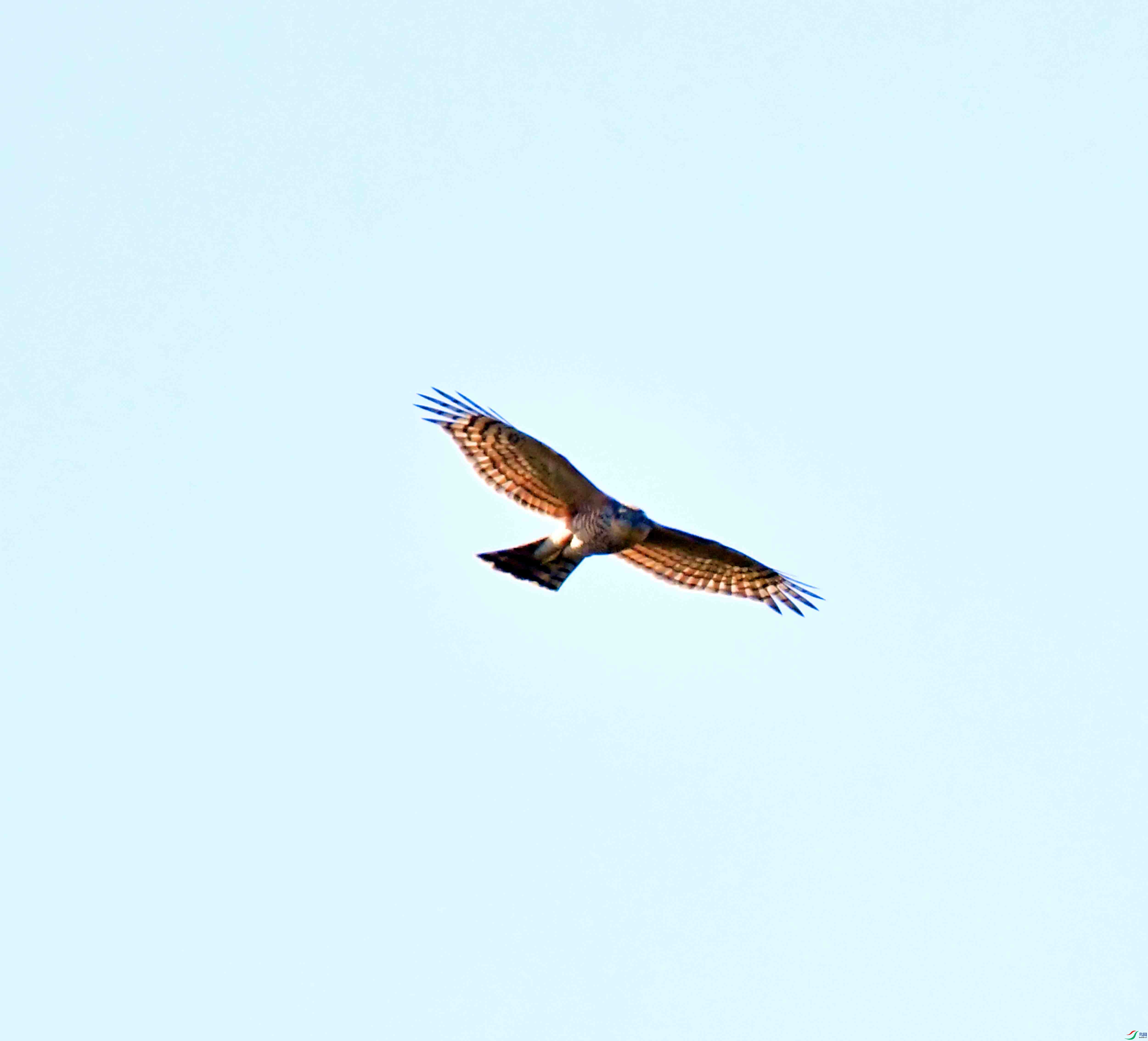 DSC_2635.JPG