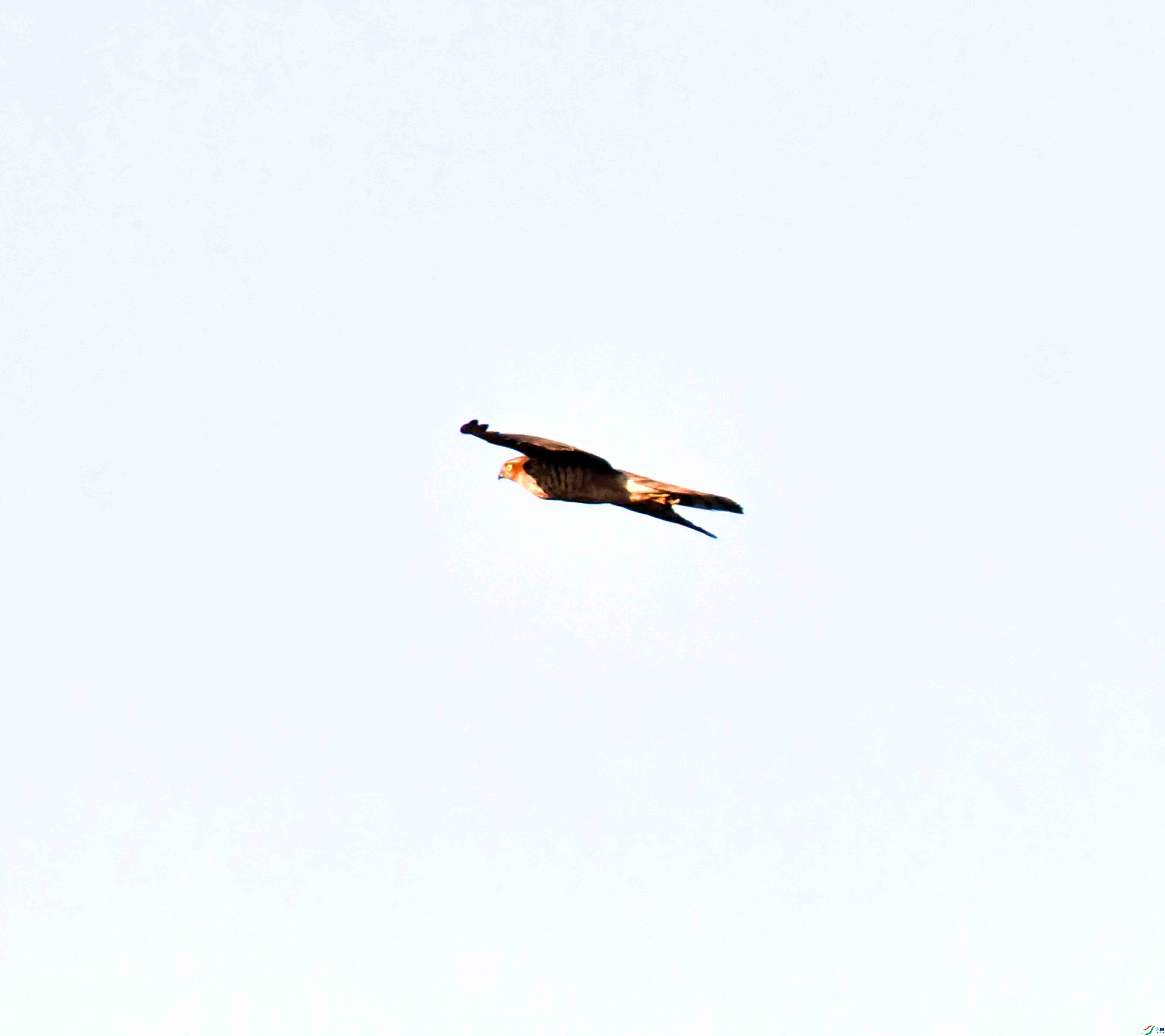 DSC_2901.JPG