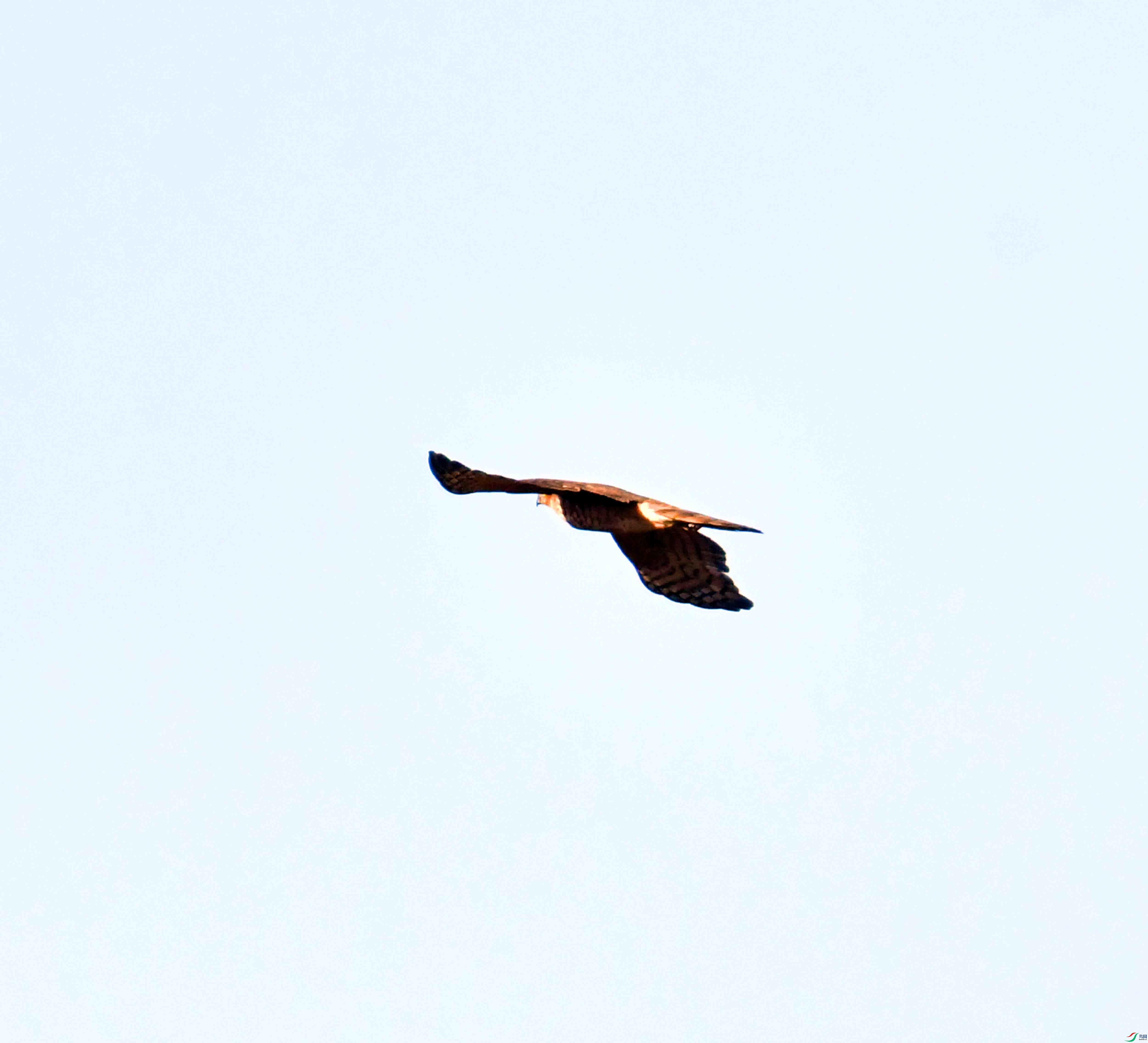 DSC_2902.JPG