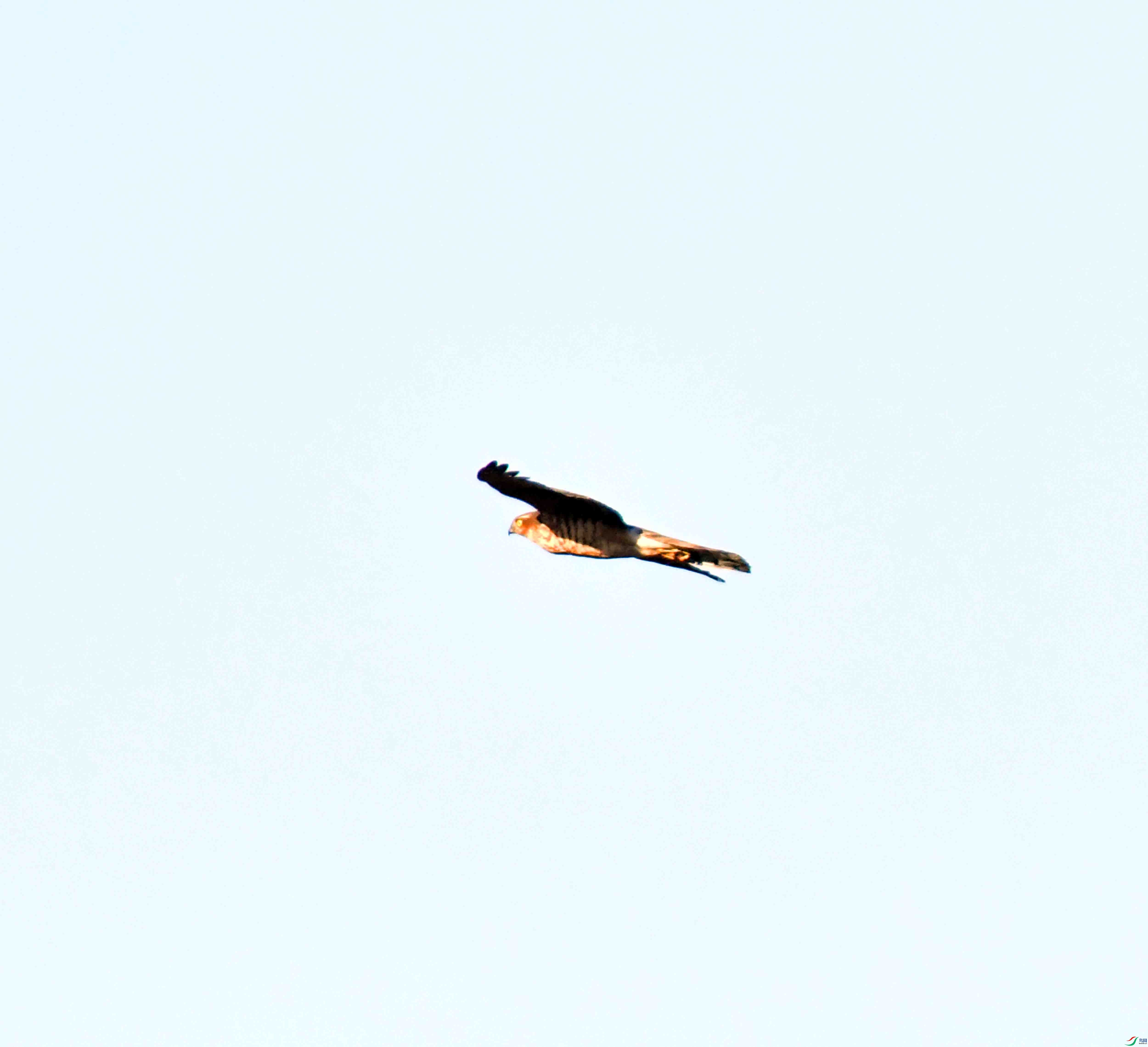 DSC_2900.JPG