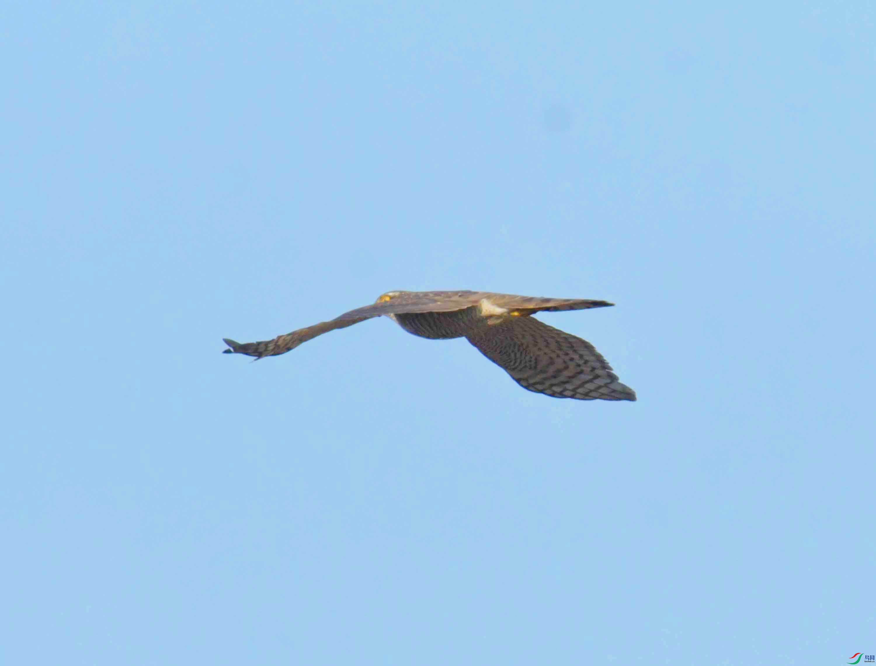 DSC_3457.JPG