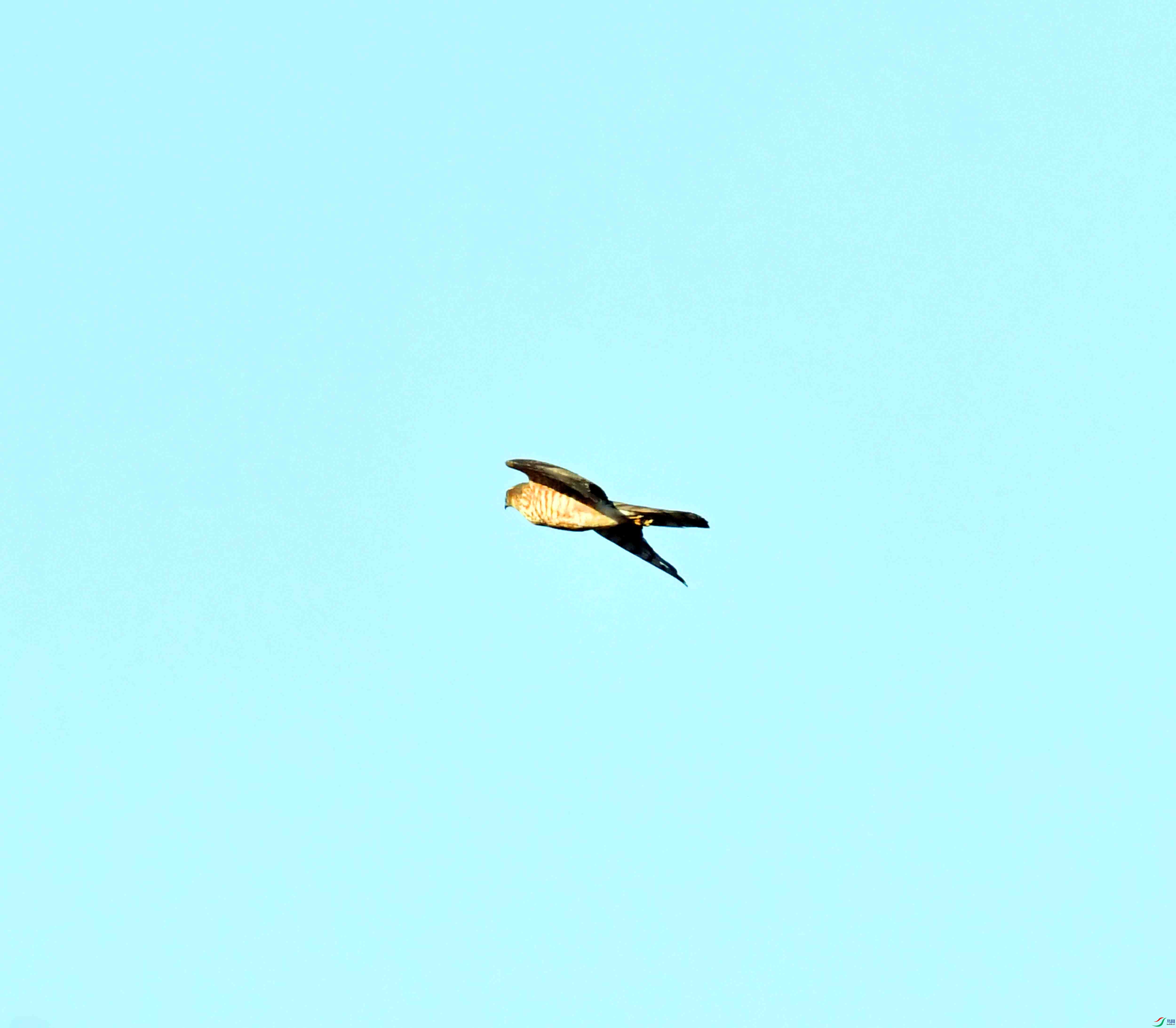 DSC_2903.JPG