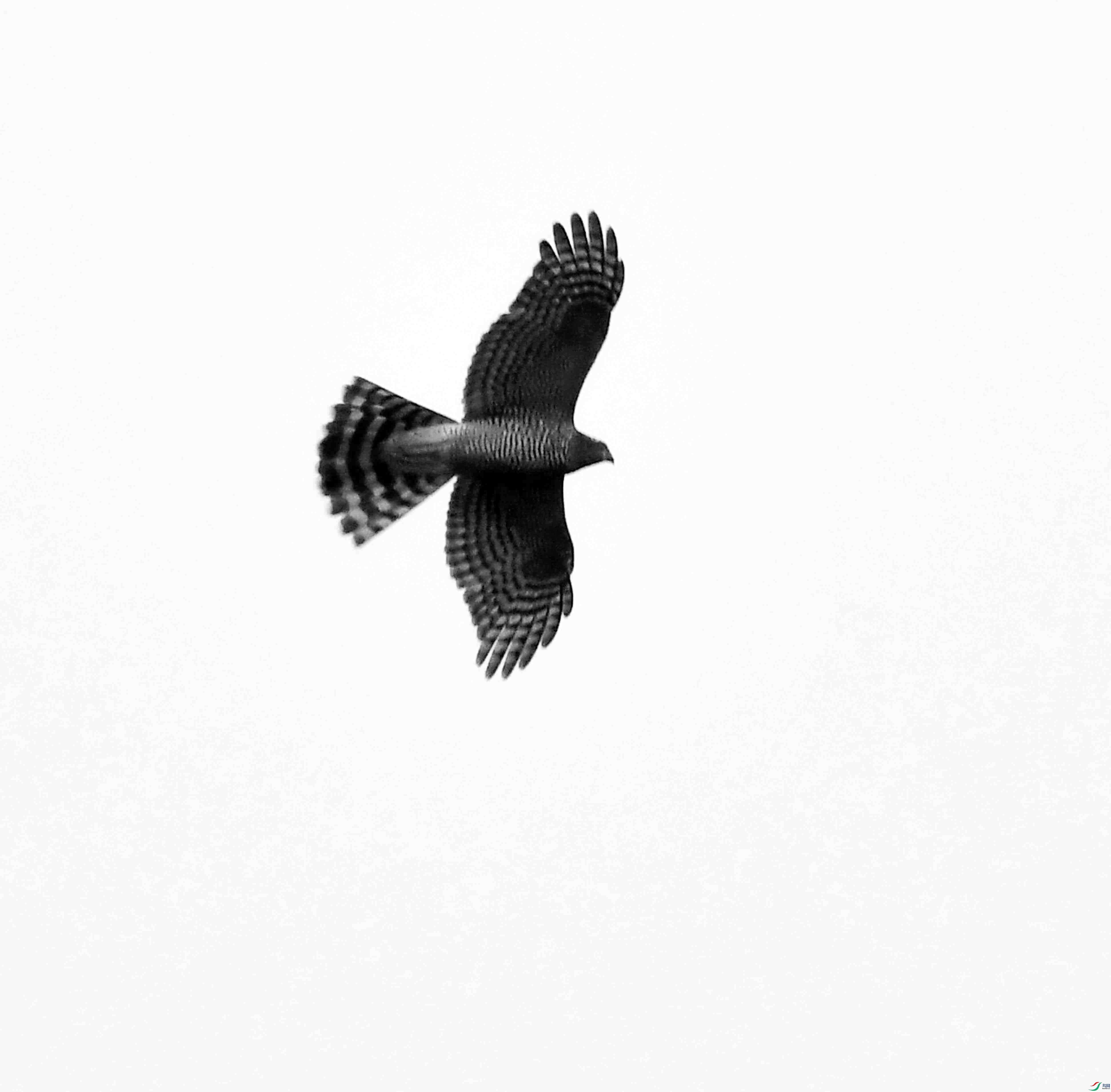 DSC_6689.JPG