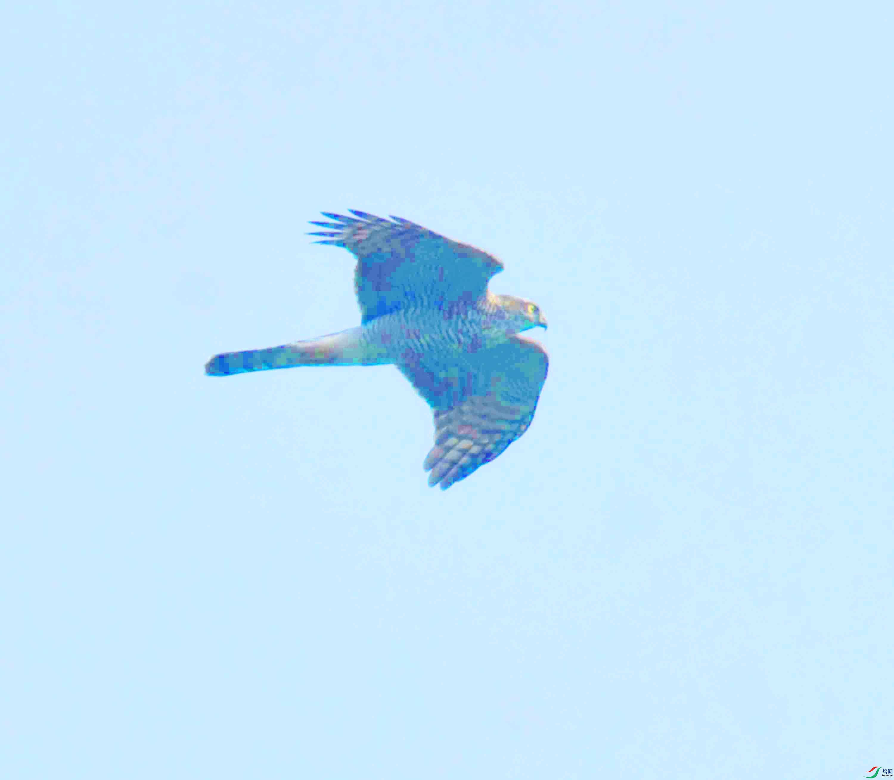 DSC_7218.JPG