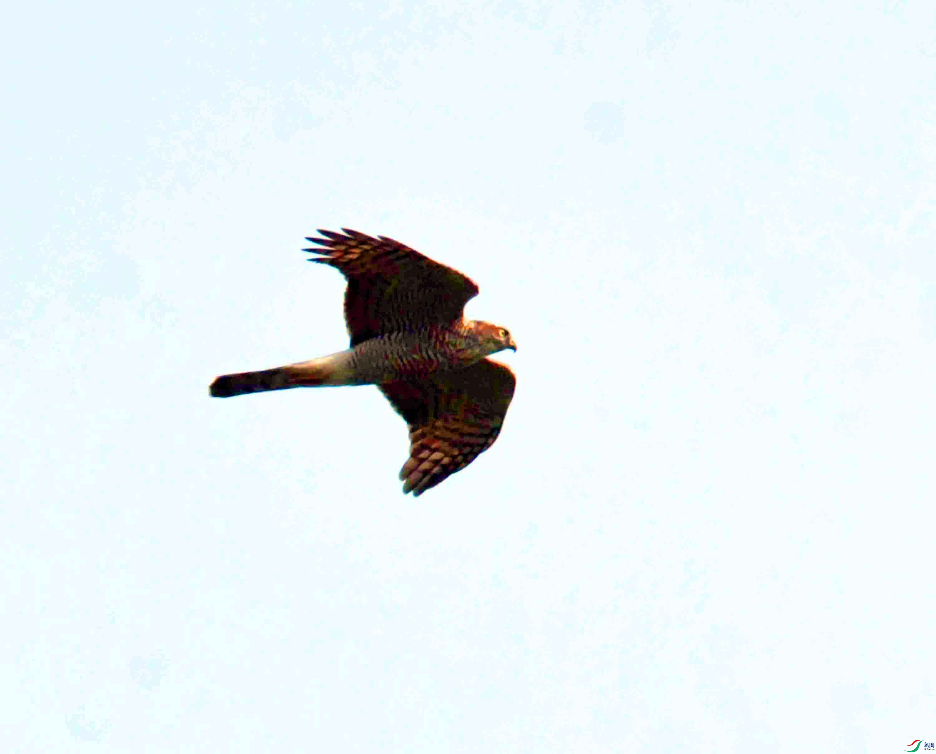 DSC_7219.JPG