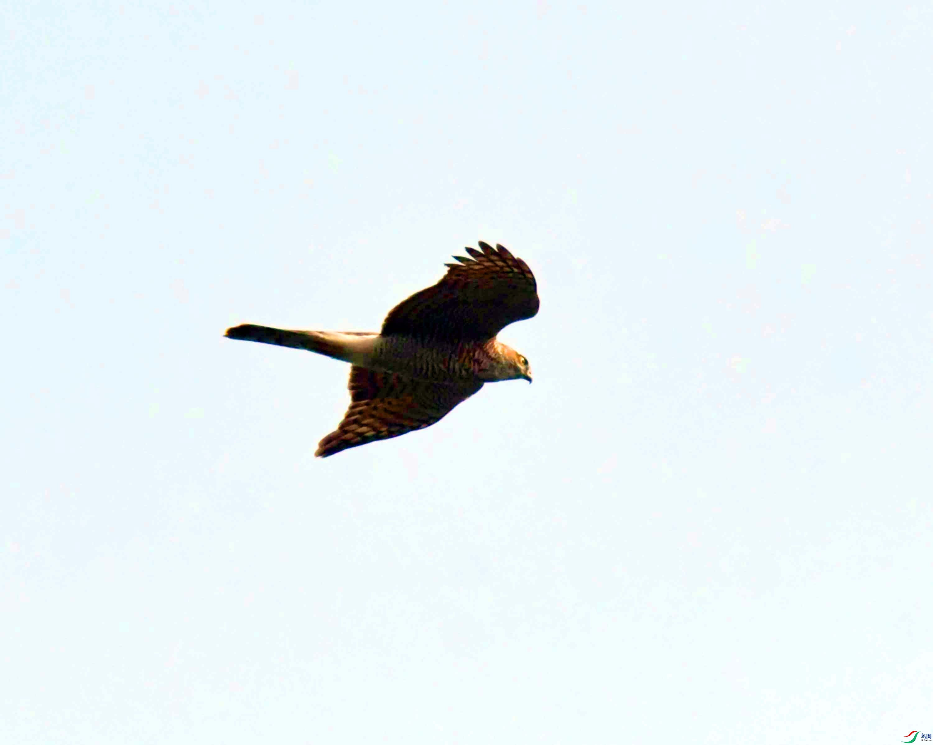DSC_7227.JPG