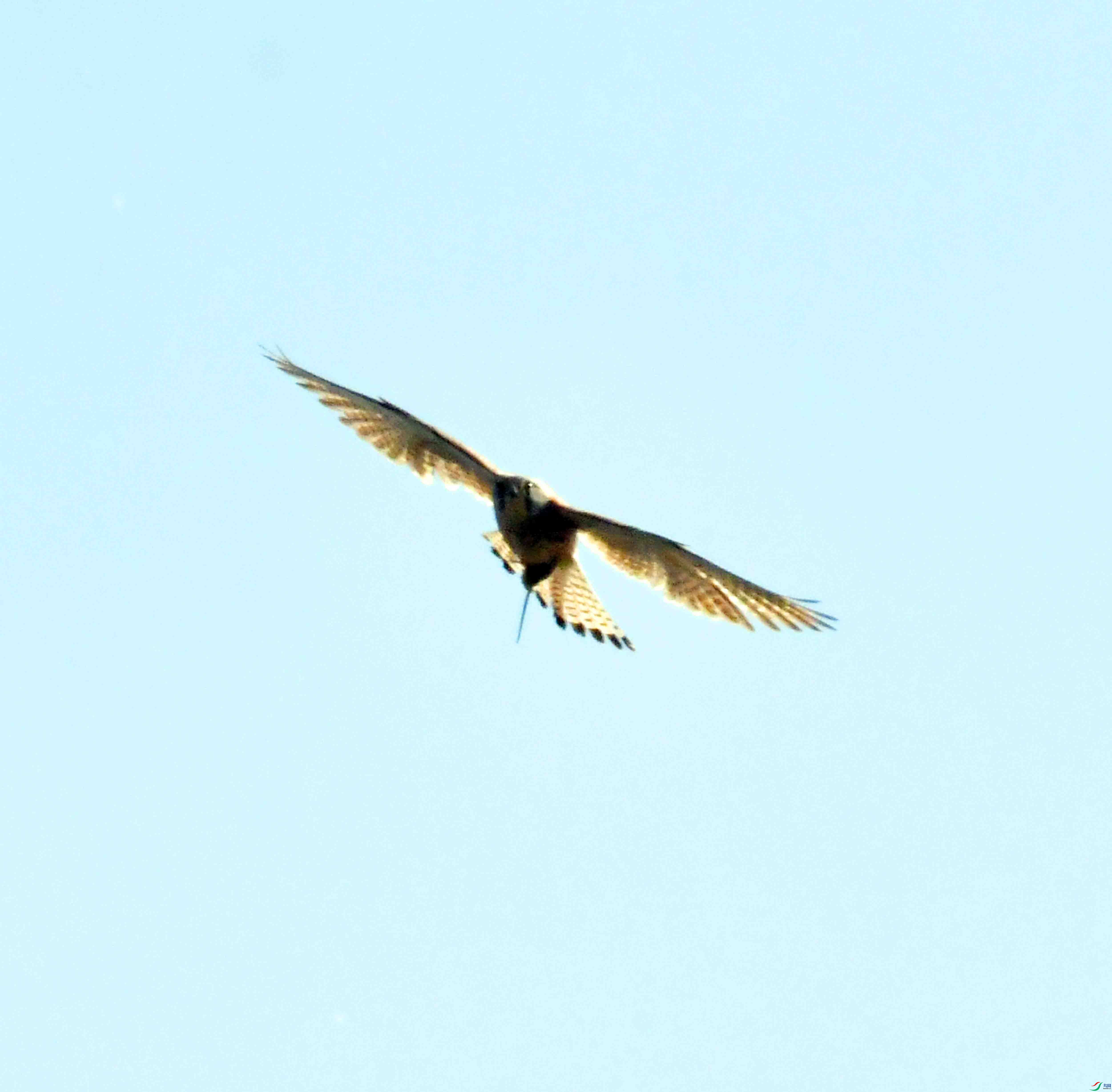 DSC_9121.JPG