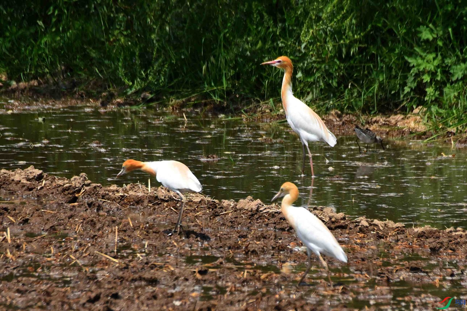 DSC_8020.JPG