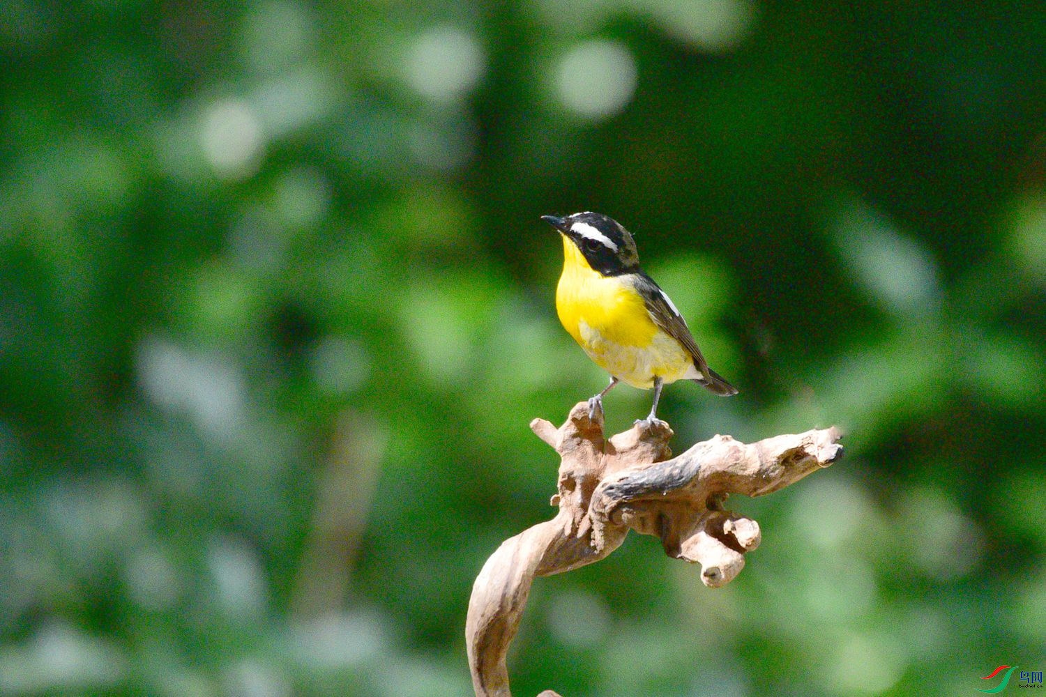 DSC_6573.JPG