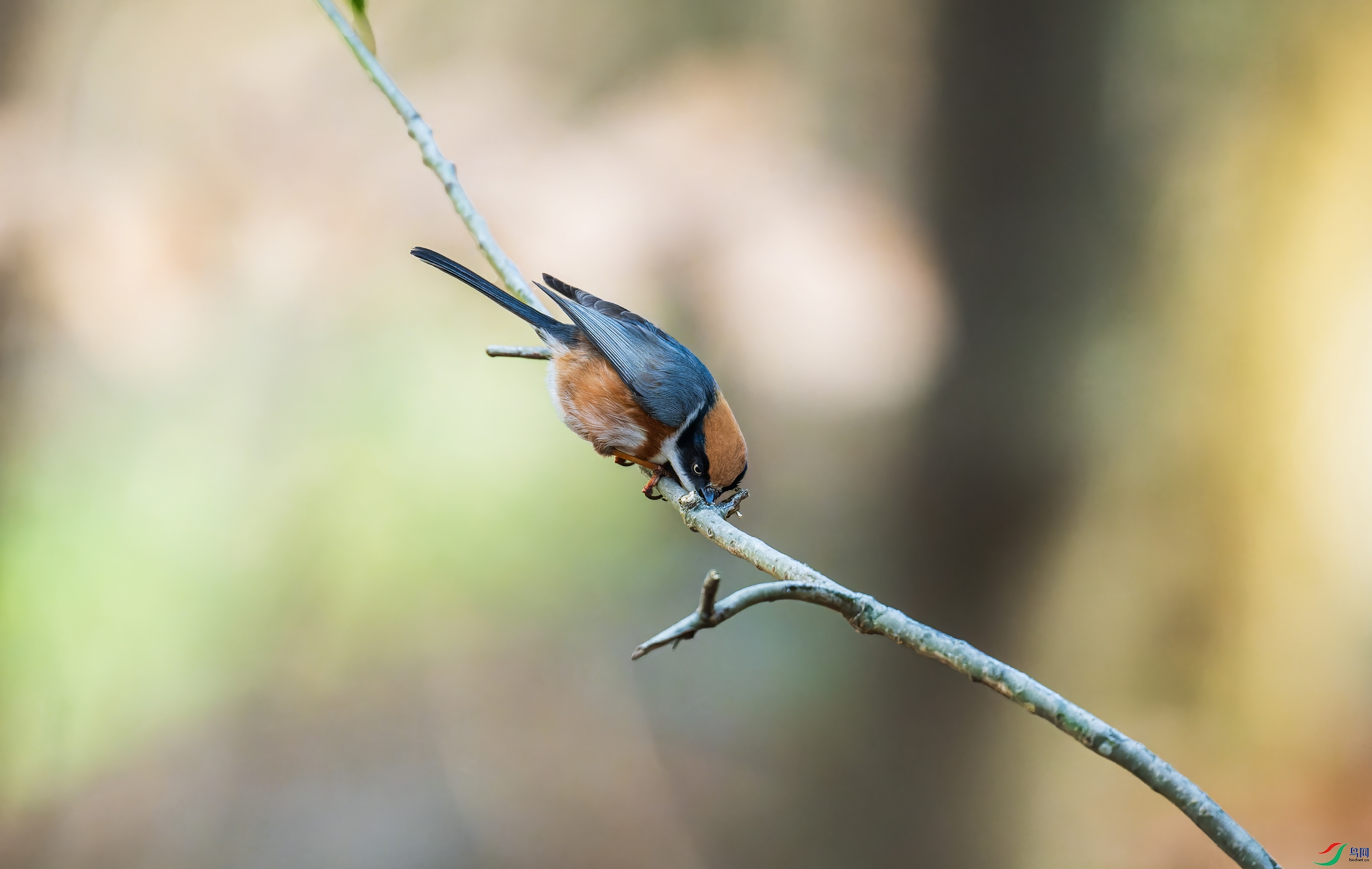 _DSC3918-NEF_DxO_DeepPRIME-1.jpg