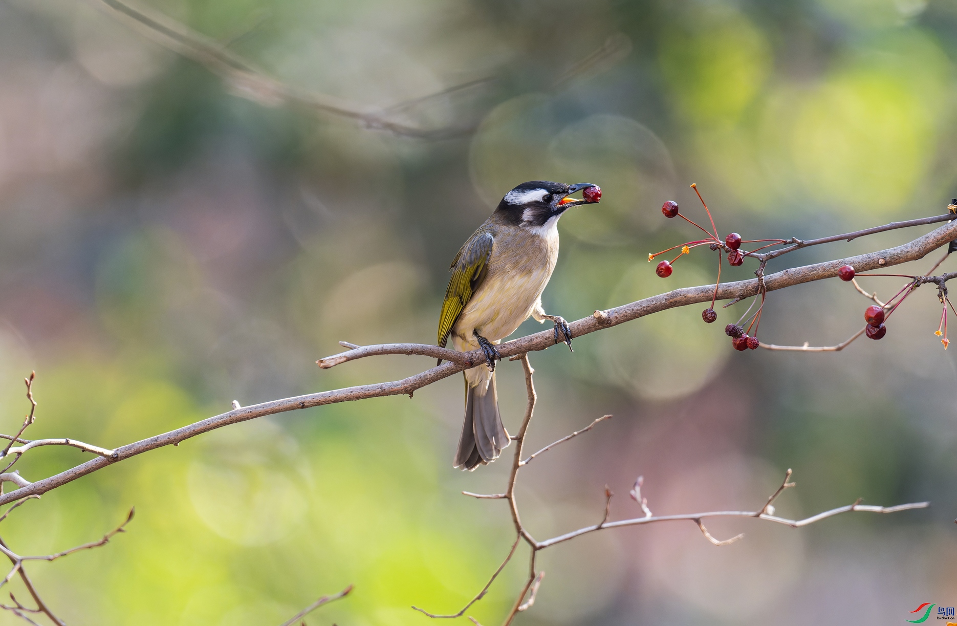 _DSC5223-NEF_DxO_DeepPRIME-1.jpg