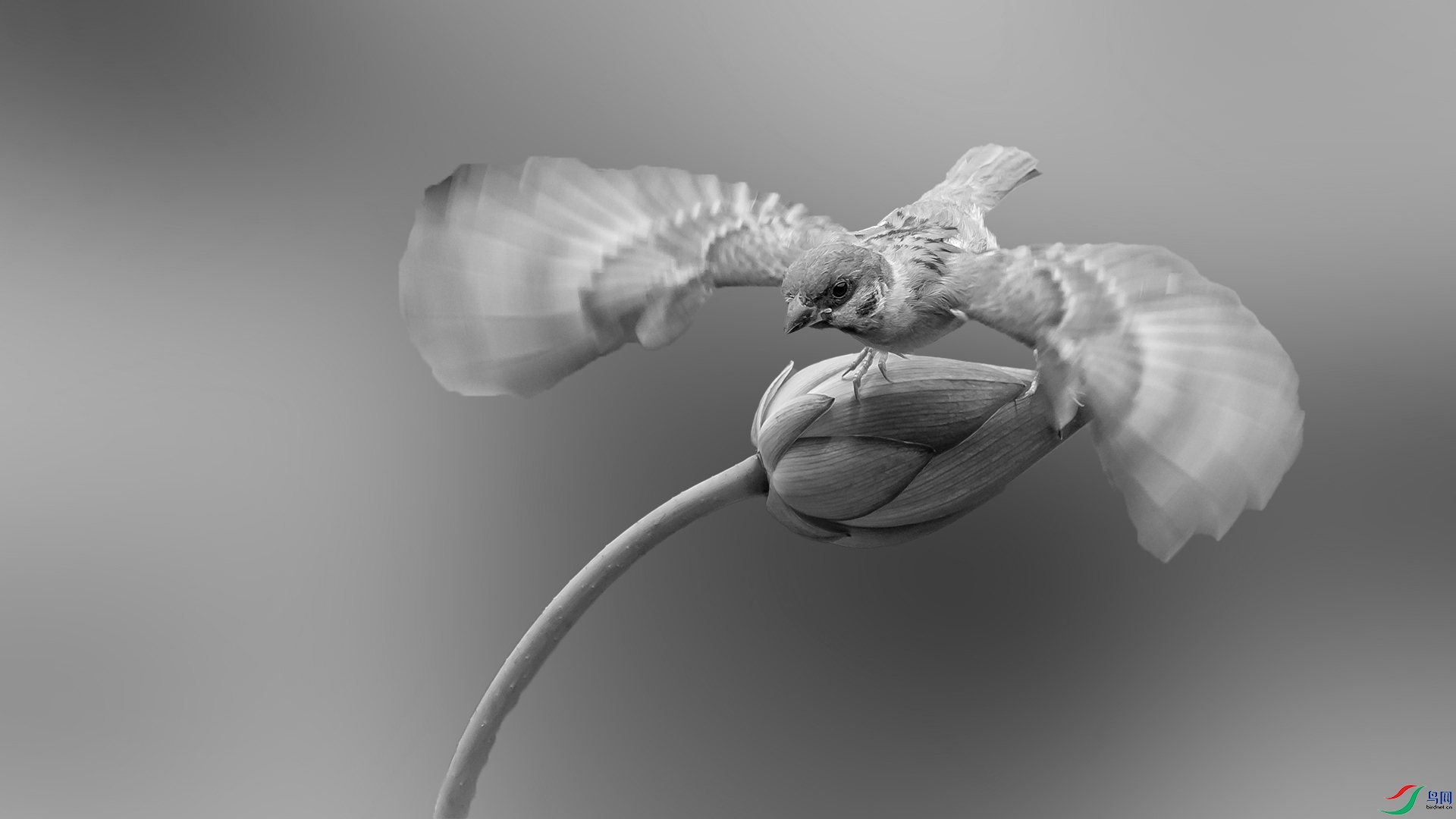 0U3A7081-1.jpg