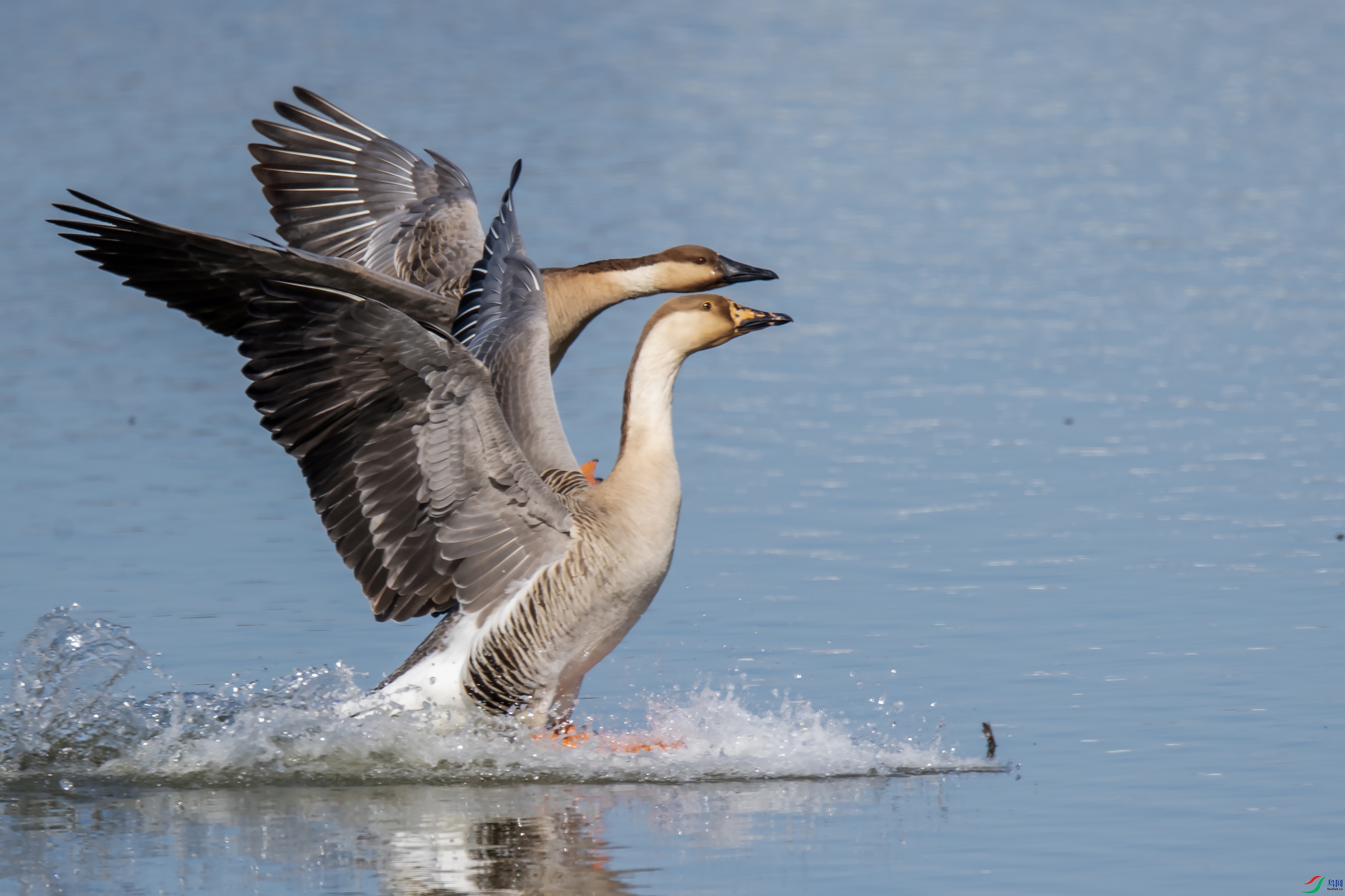 DSC_0807 ����.jpg