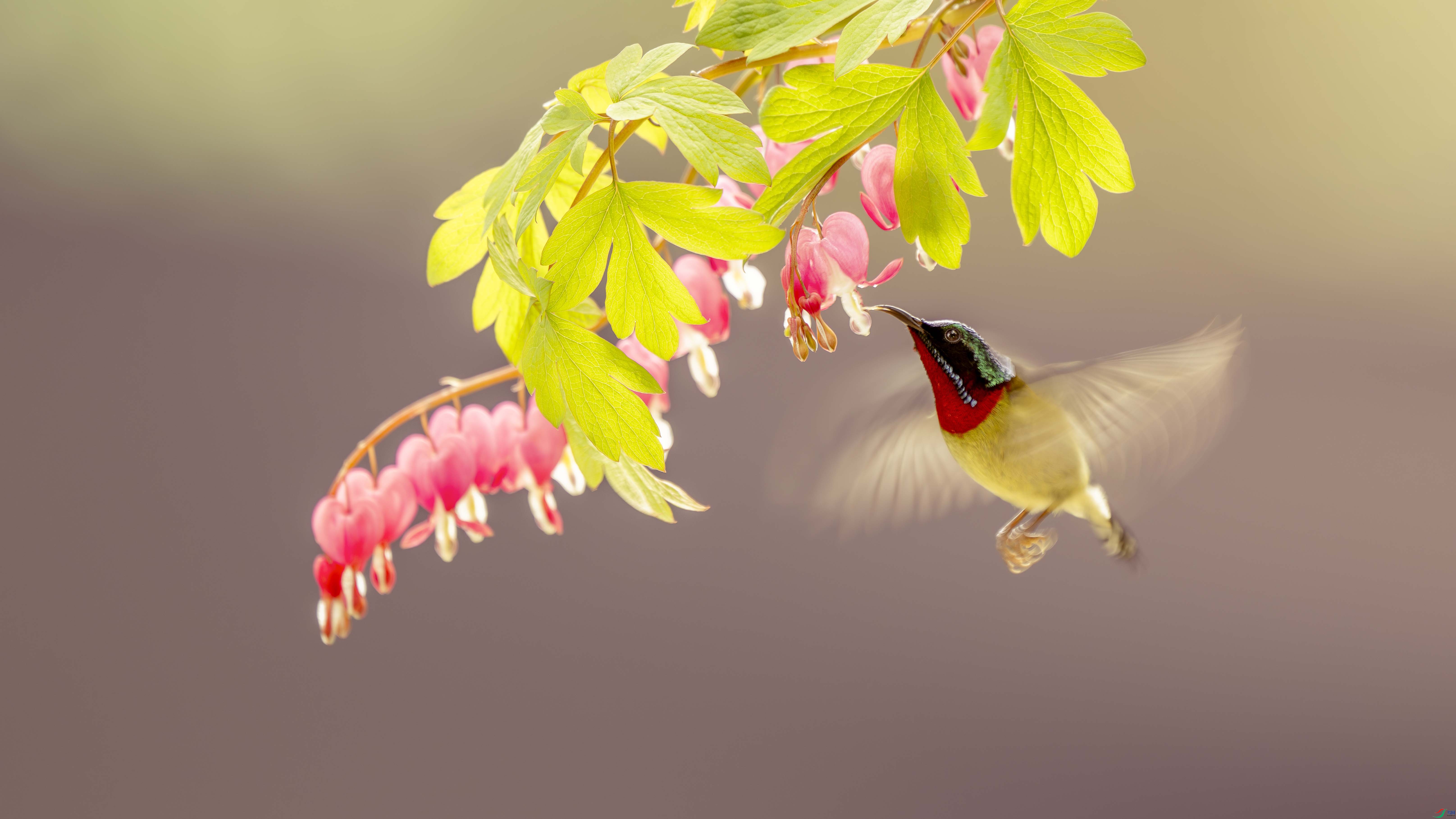 _DSC8291-����ǿ-NR ���� 3.jpg