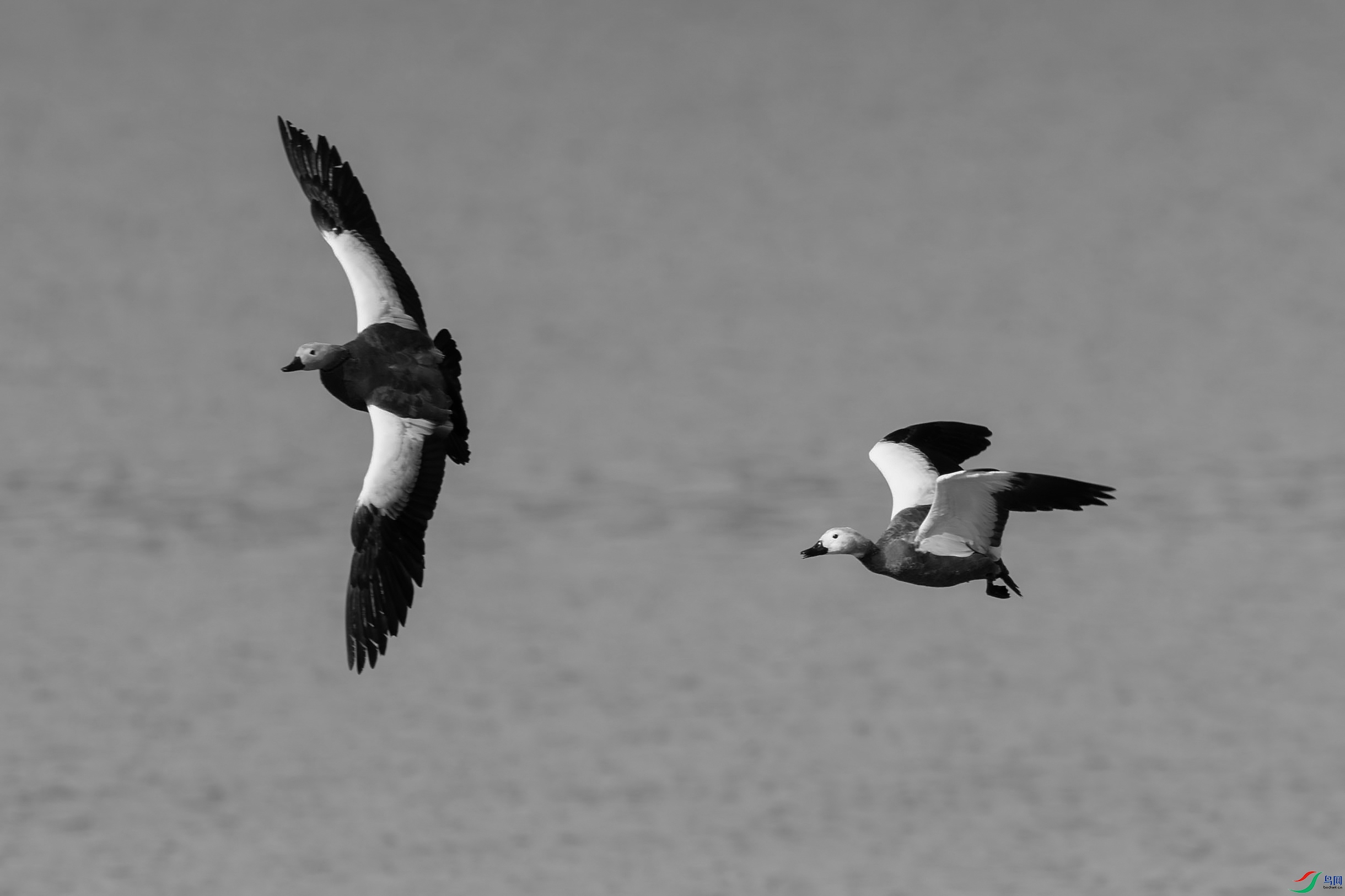 DSC_2749.jpg