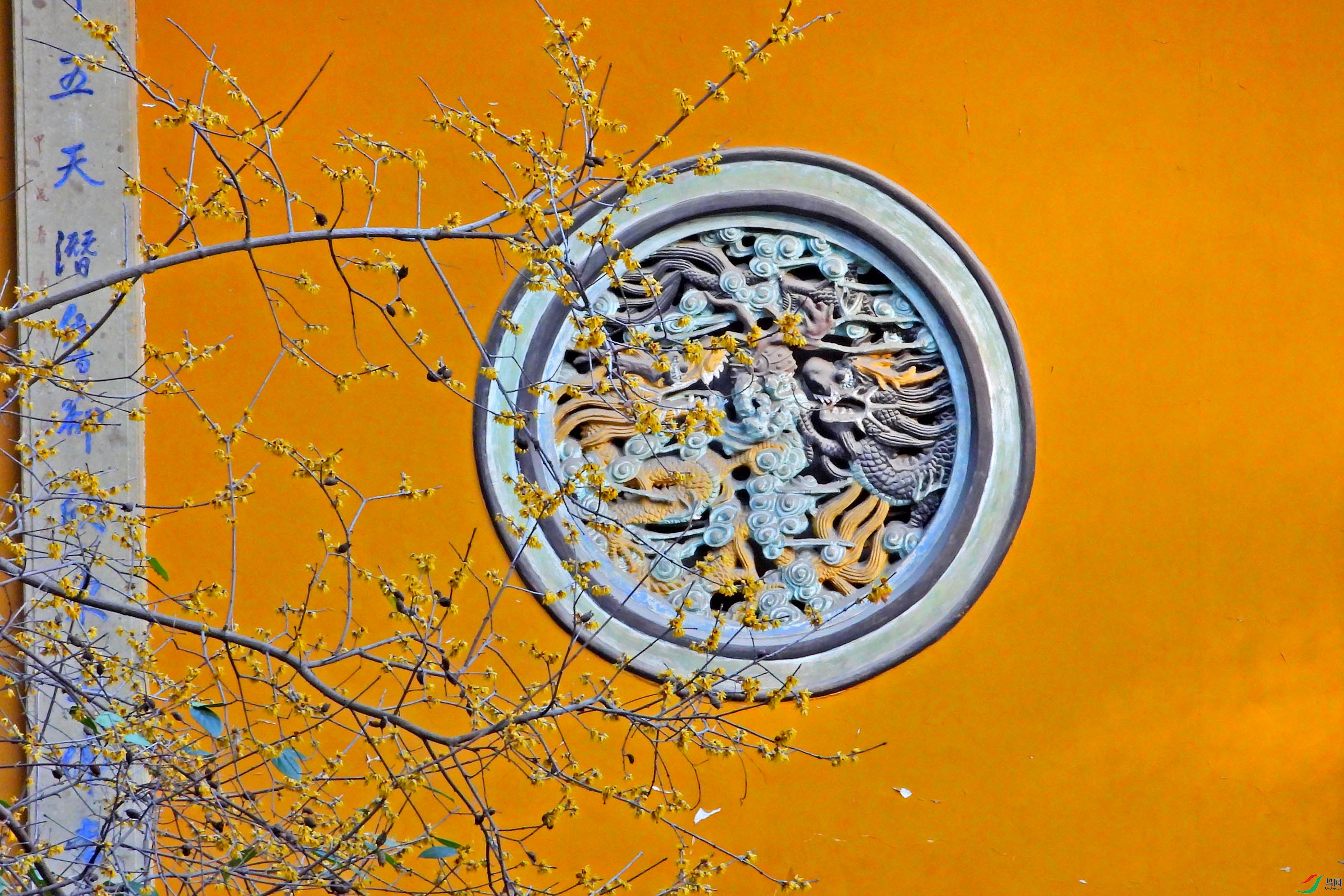 DSCN5185.JPG