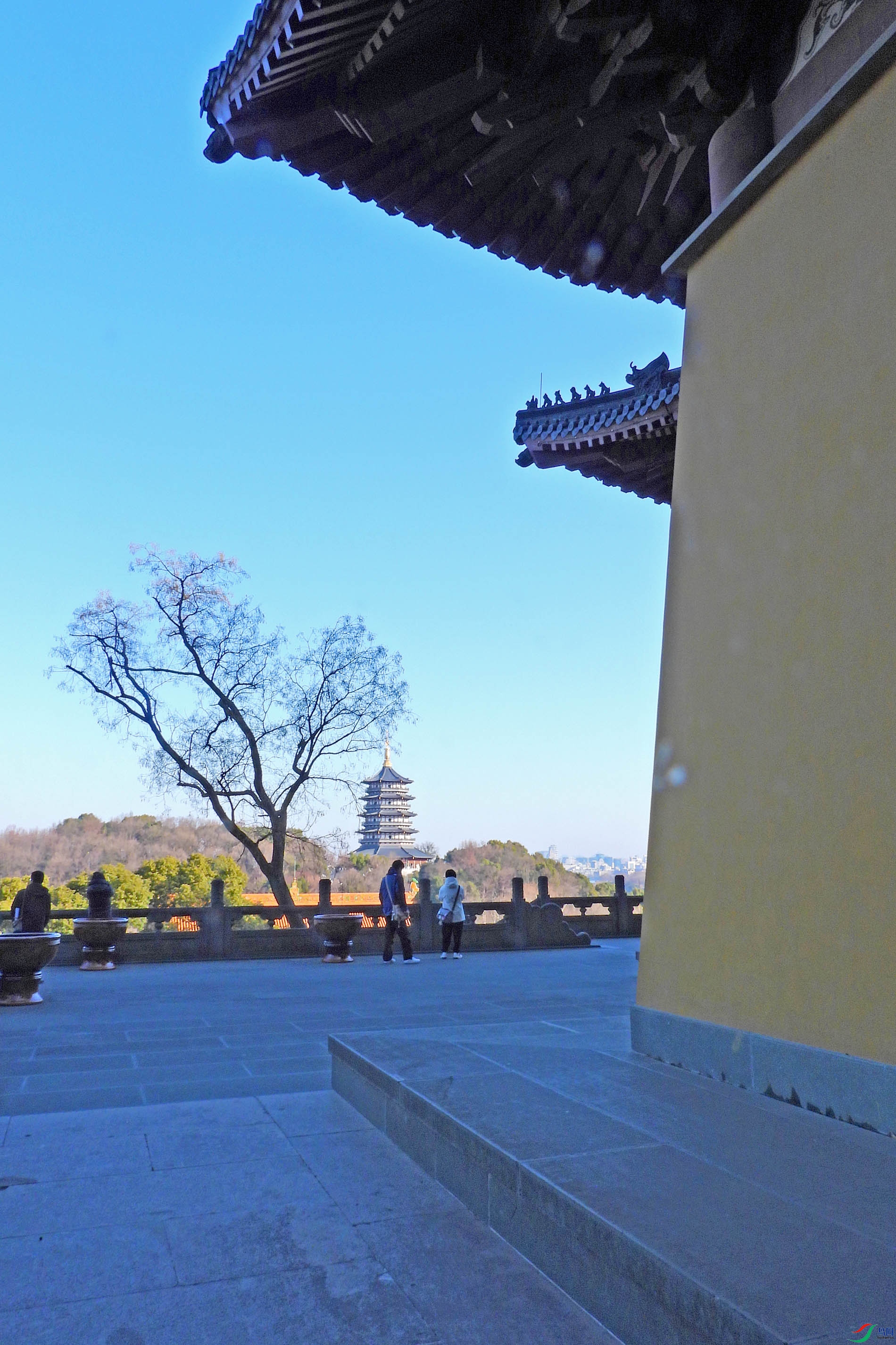 DSCN5188.JPG