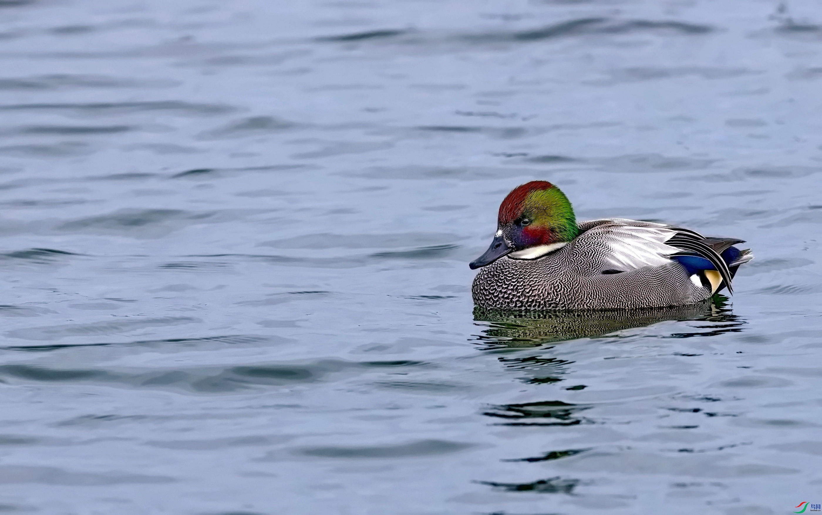 ����Ѽ -01.jpg