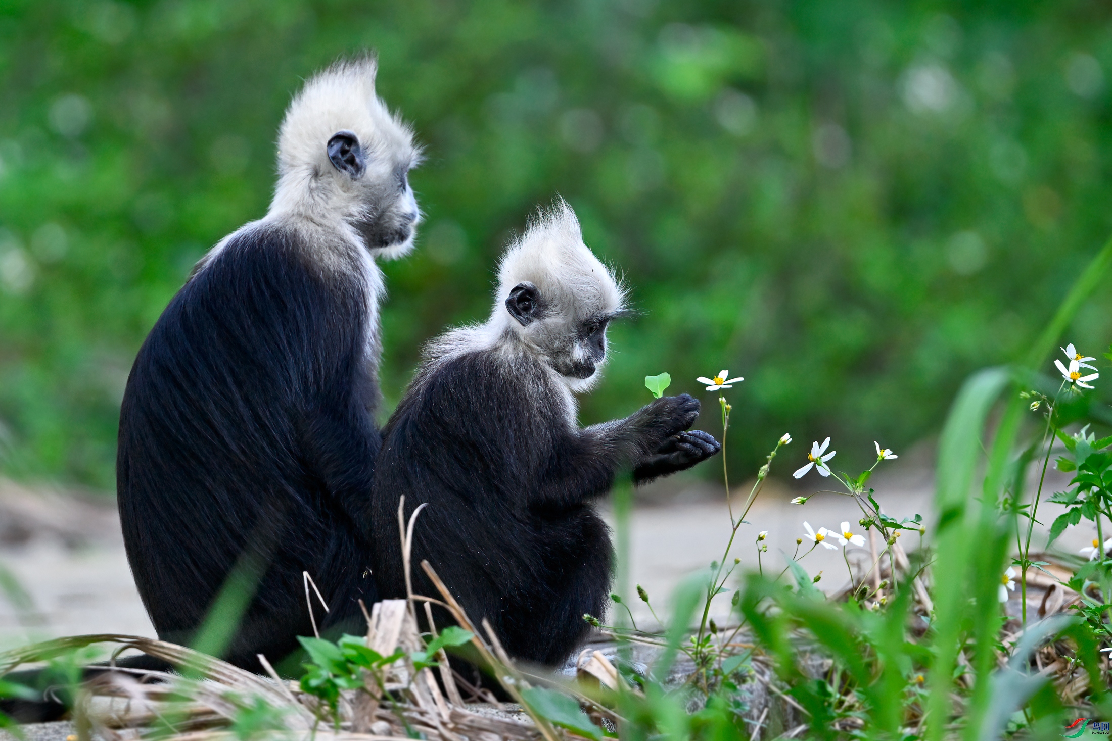 _DSC2670x.jpg