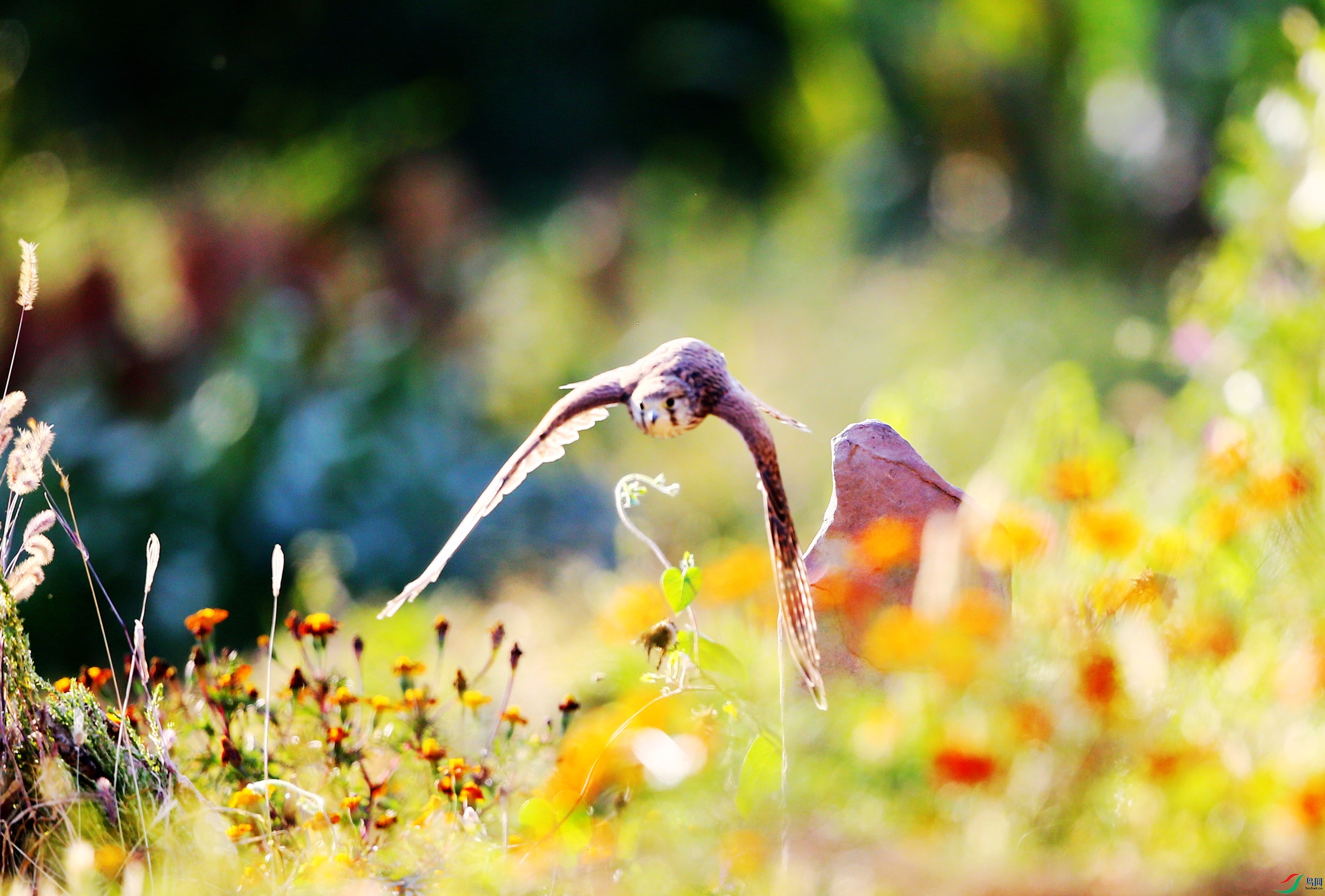 ����  (52).JPG