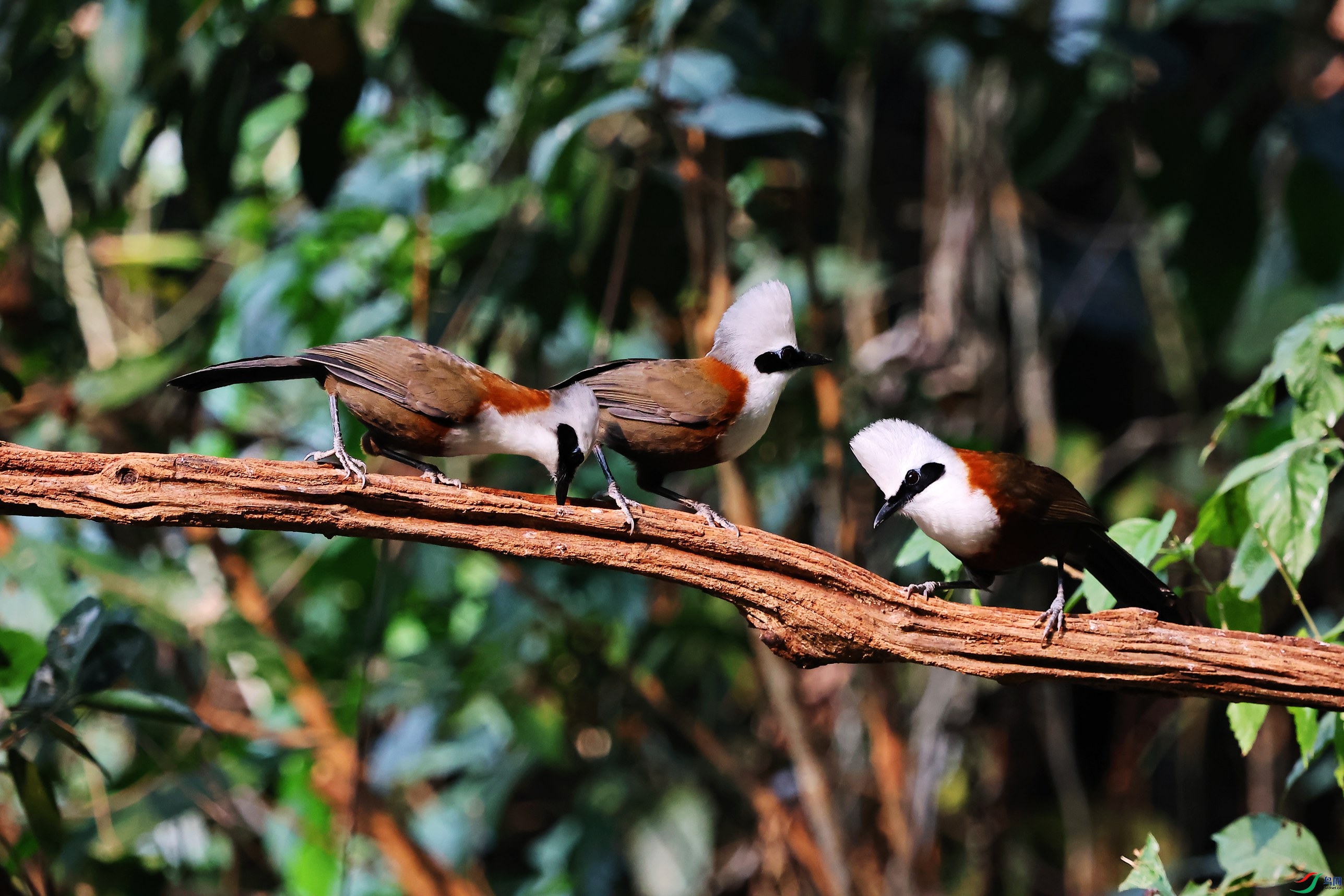 �׹����� (21).JPG