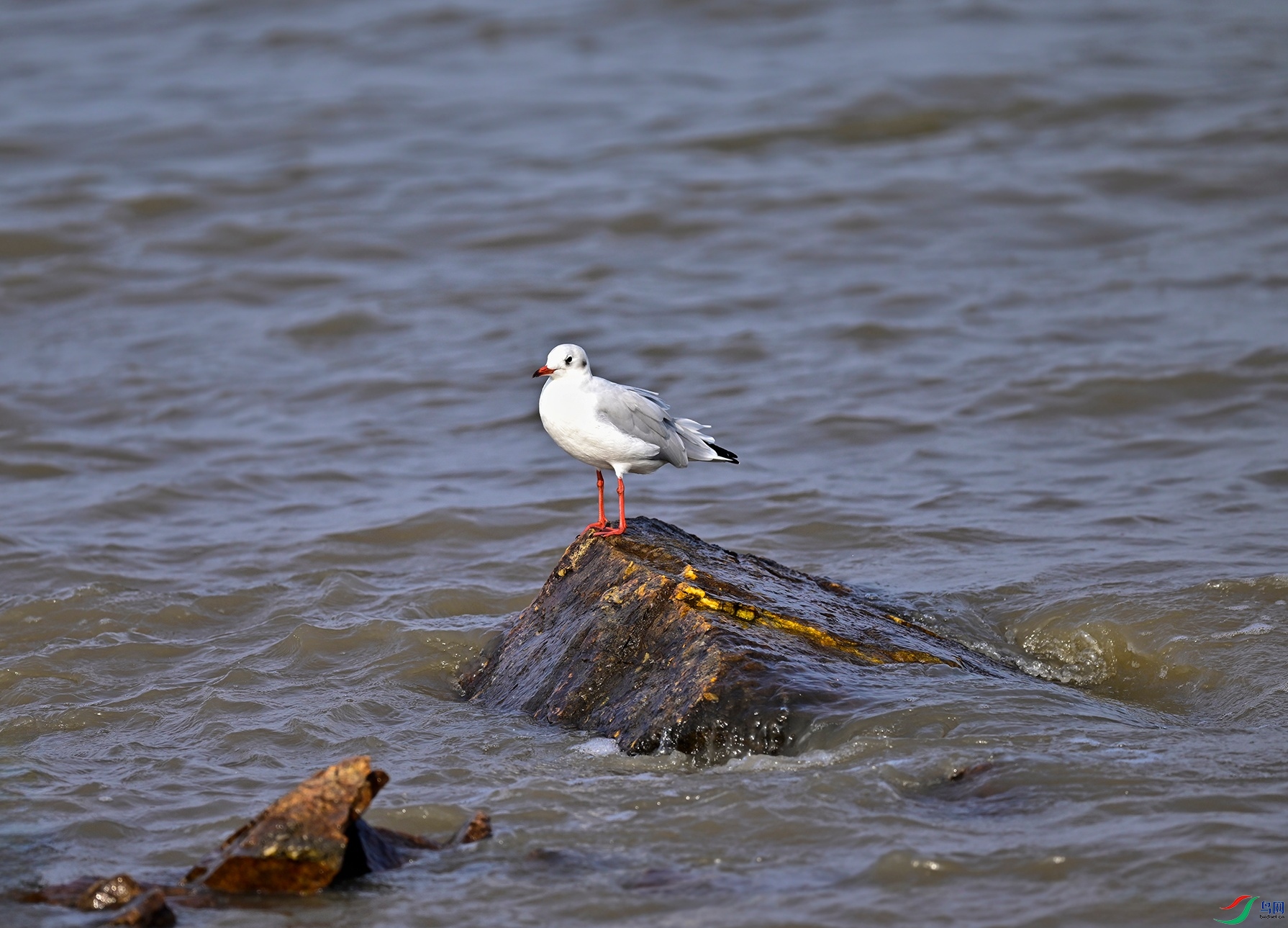 _DSC6557f.jpg