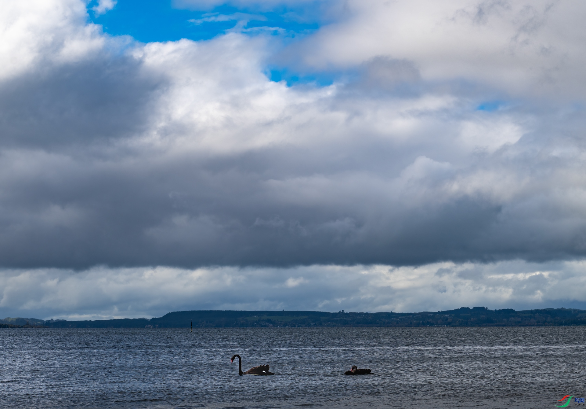 DSC_8996.jpg