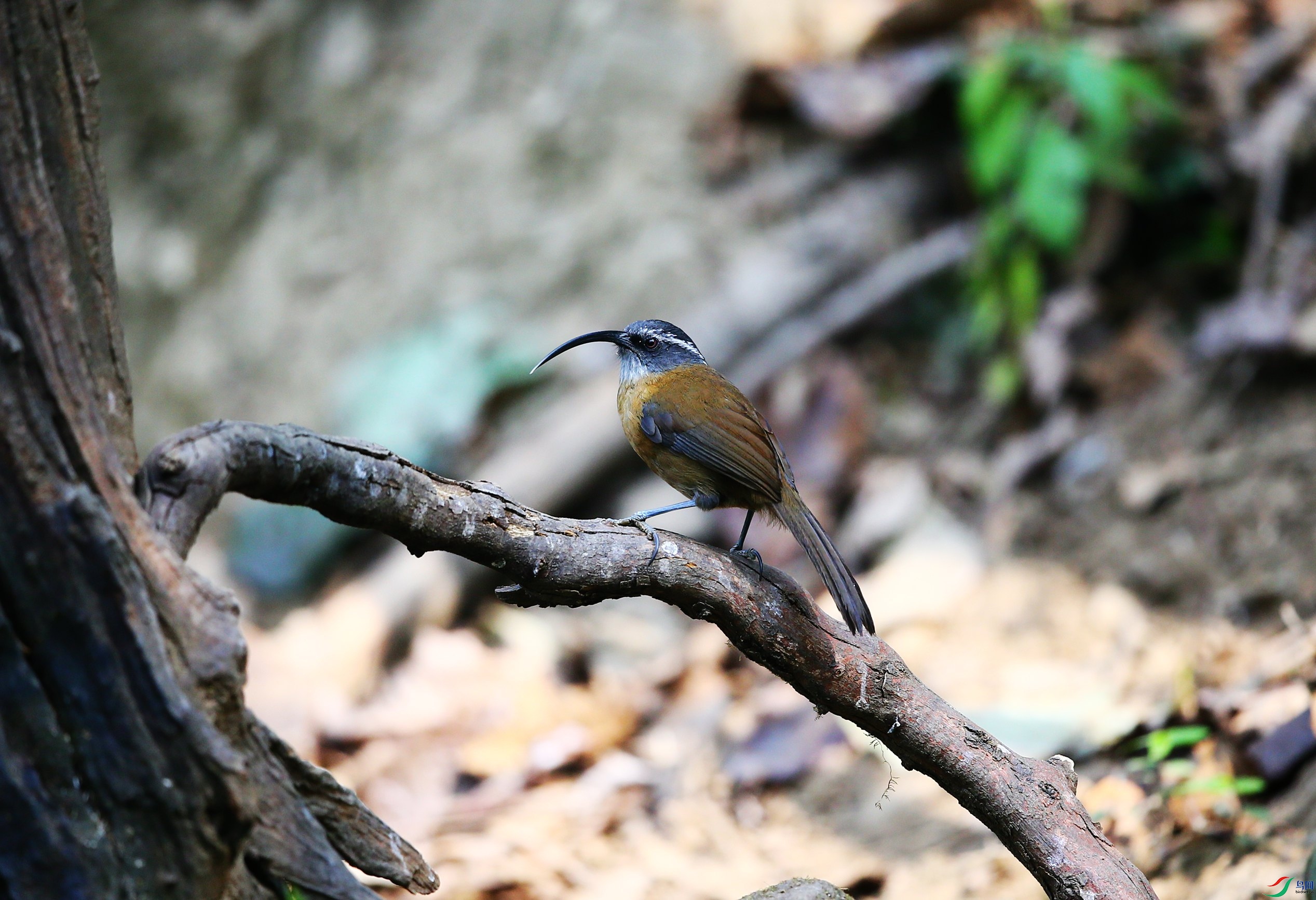 ������ (6).JPG