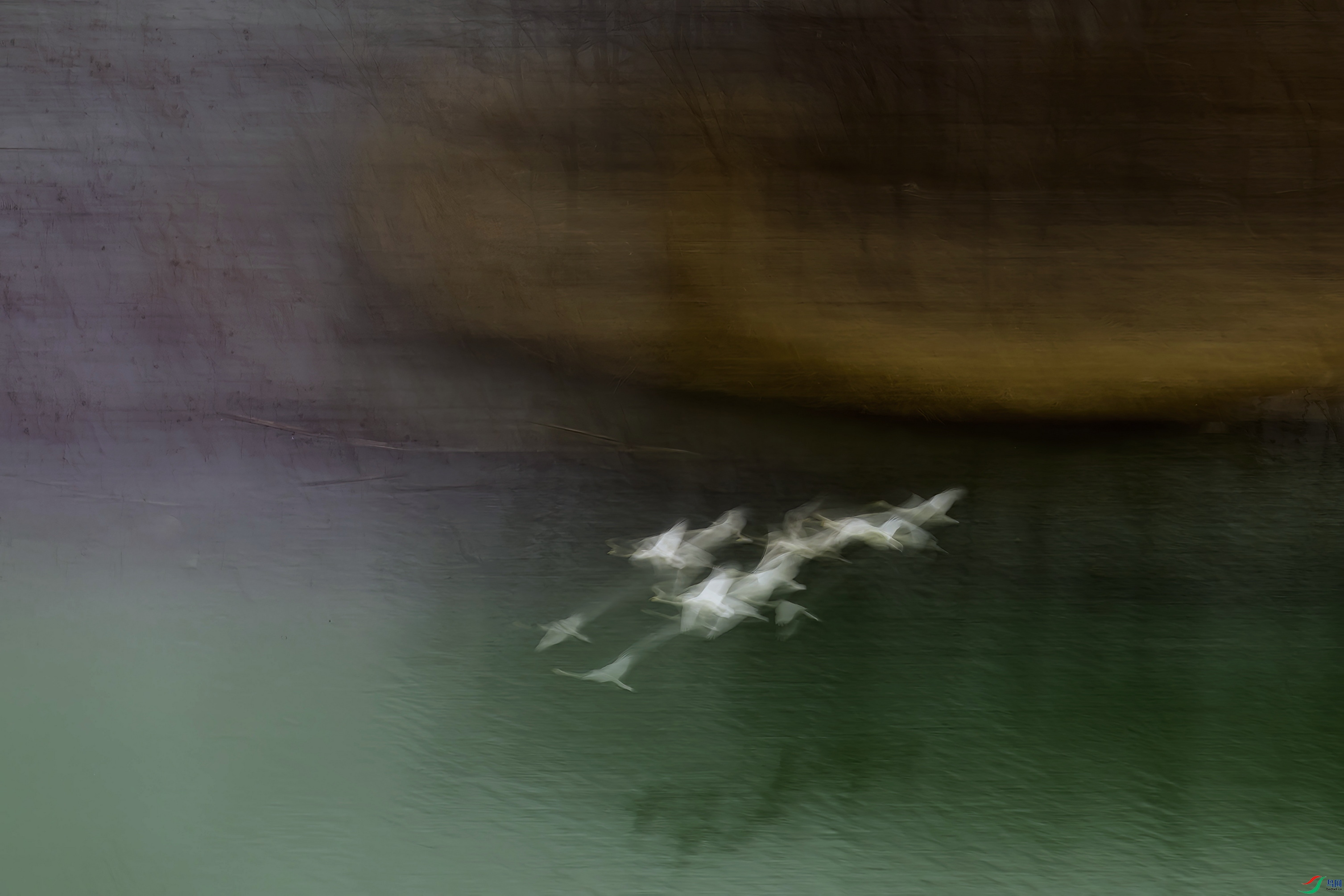 _DSC9876 ���� 2F01.jpg