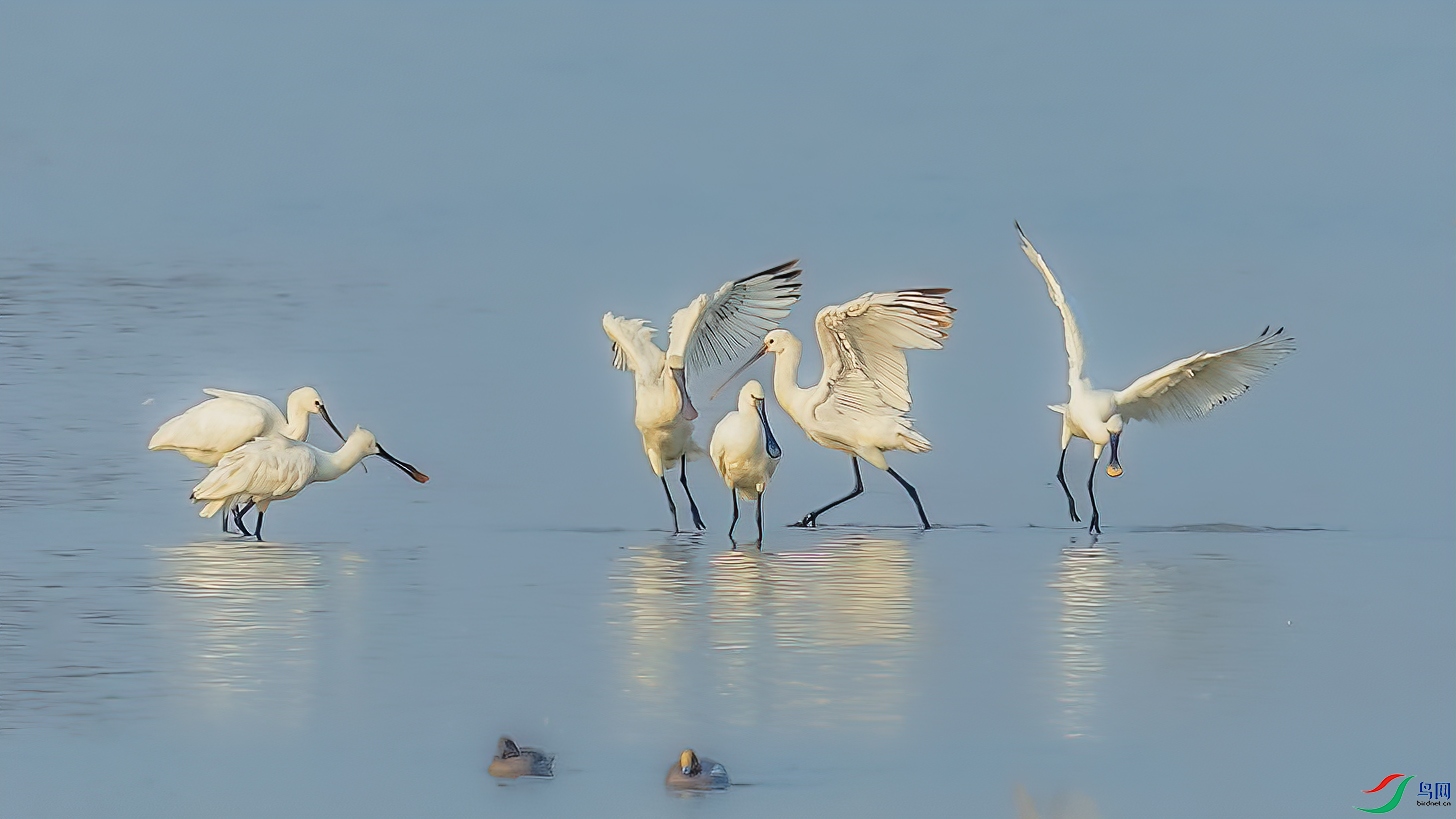 AE1V0613 ����.jpg