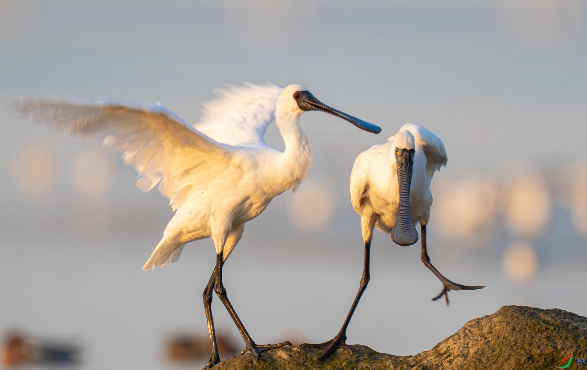 ��������