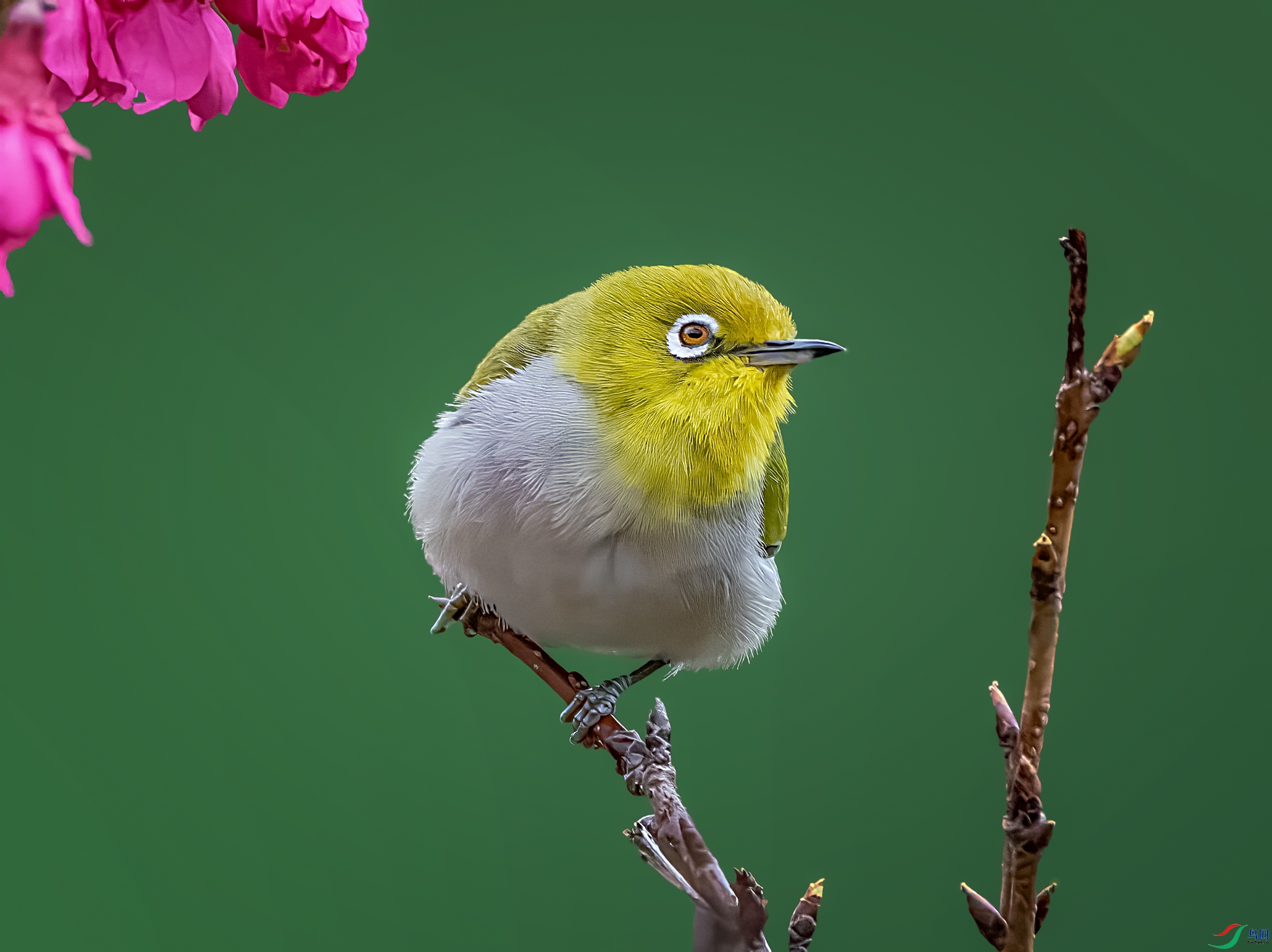 �����Դ�