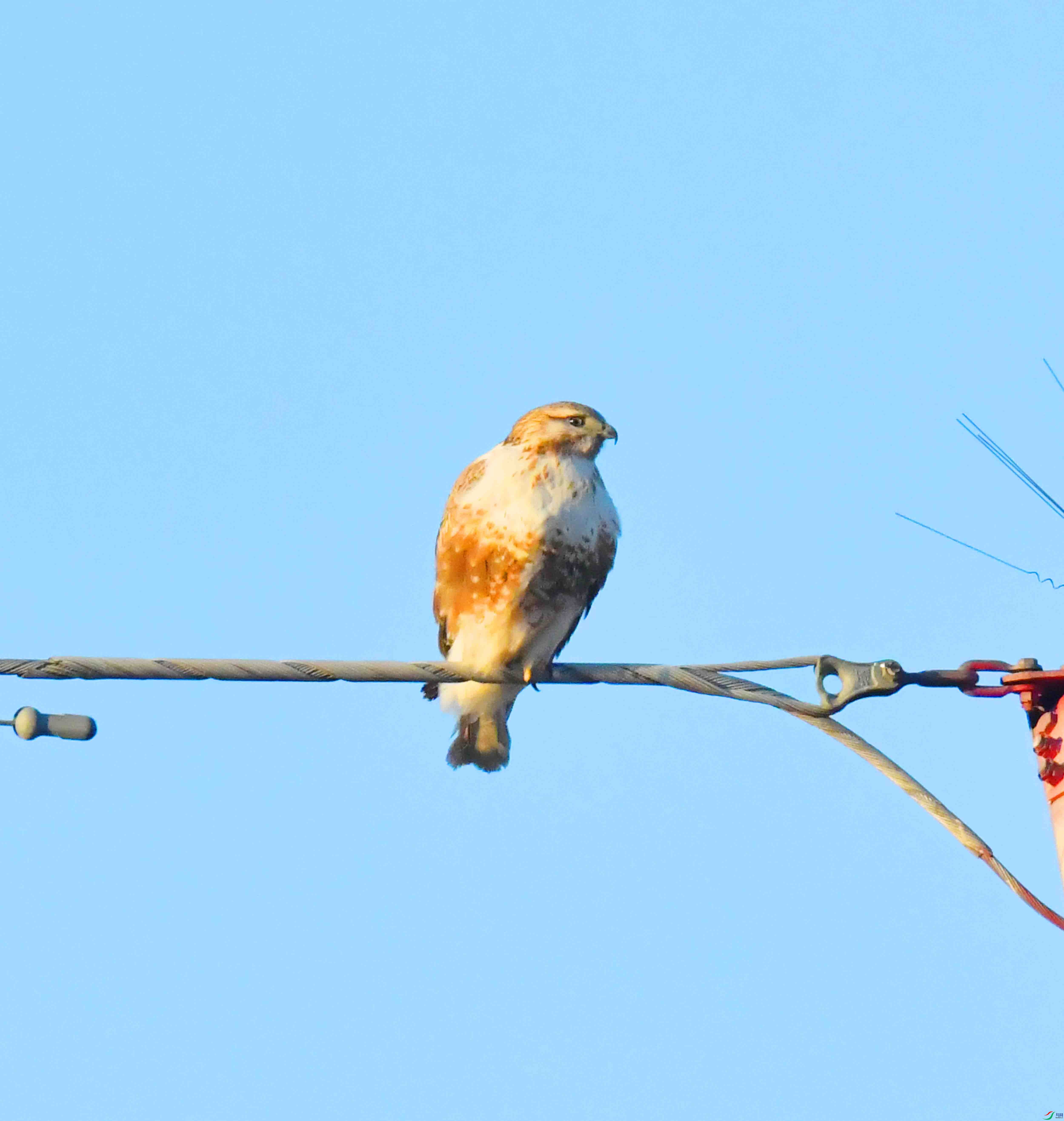 DSC_0208.JPG