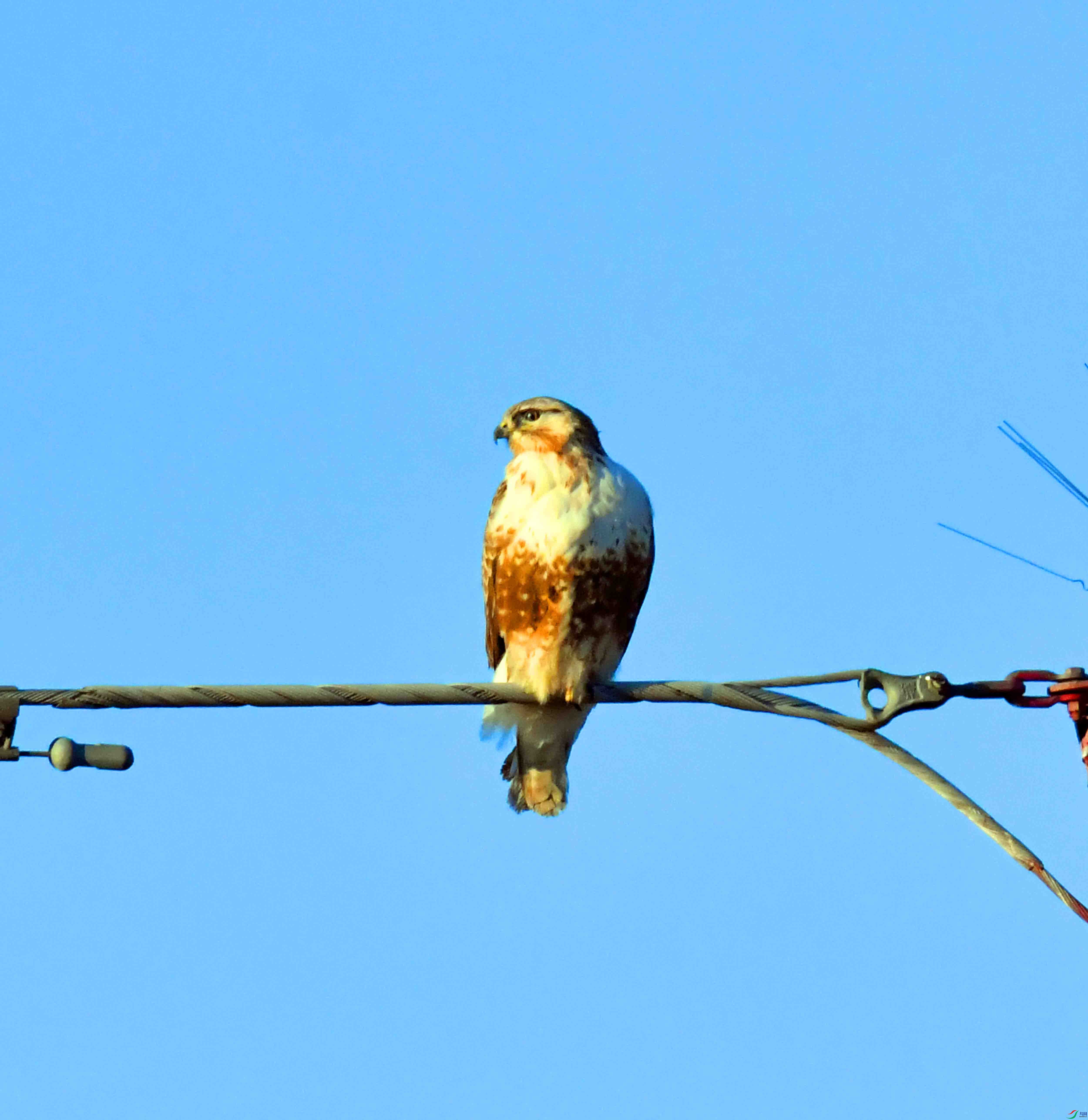 DSC_0216.JPG