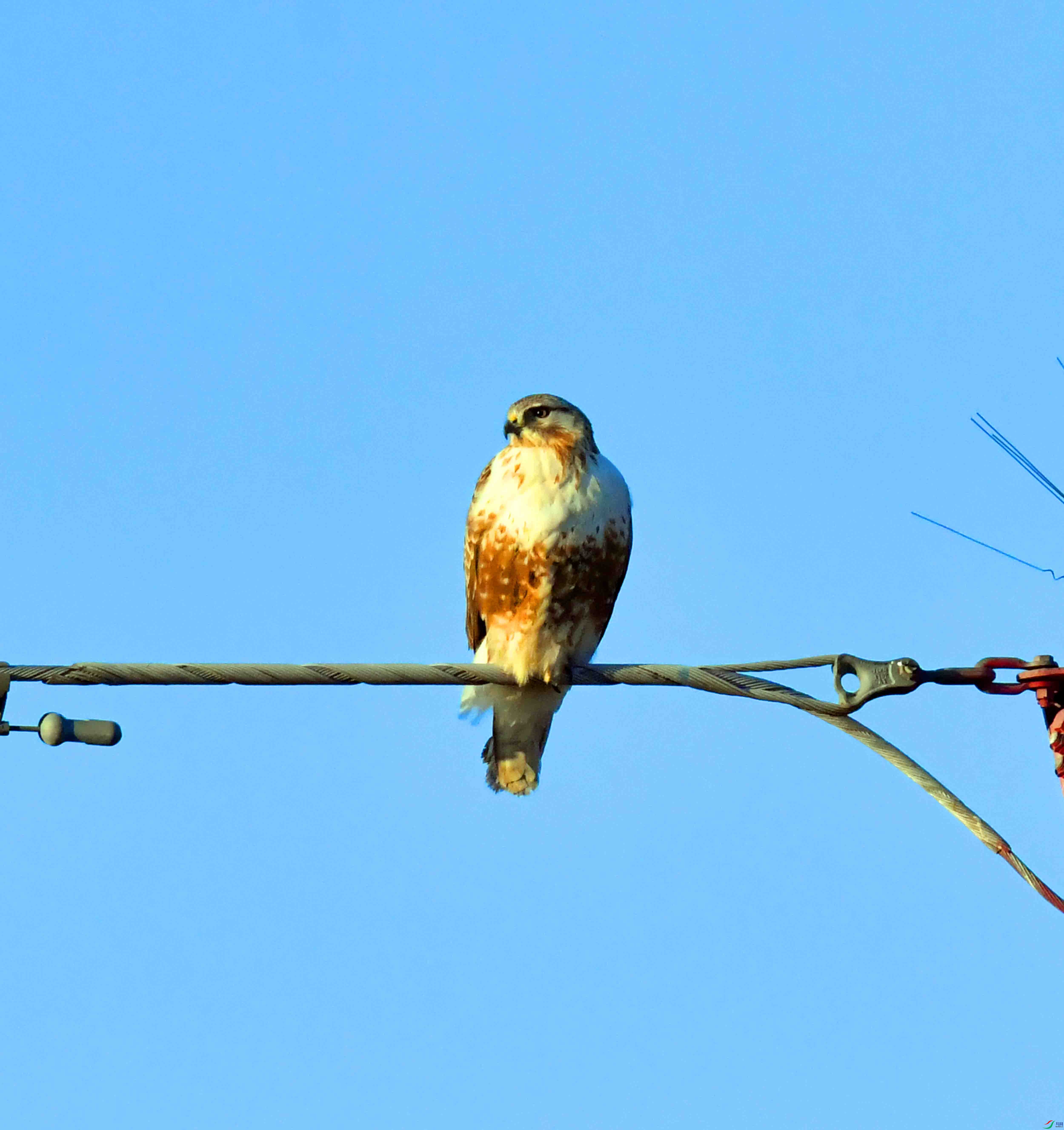DSC_0221.JPG