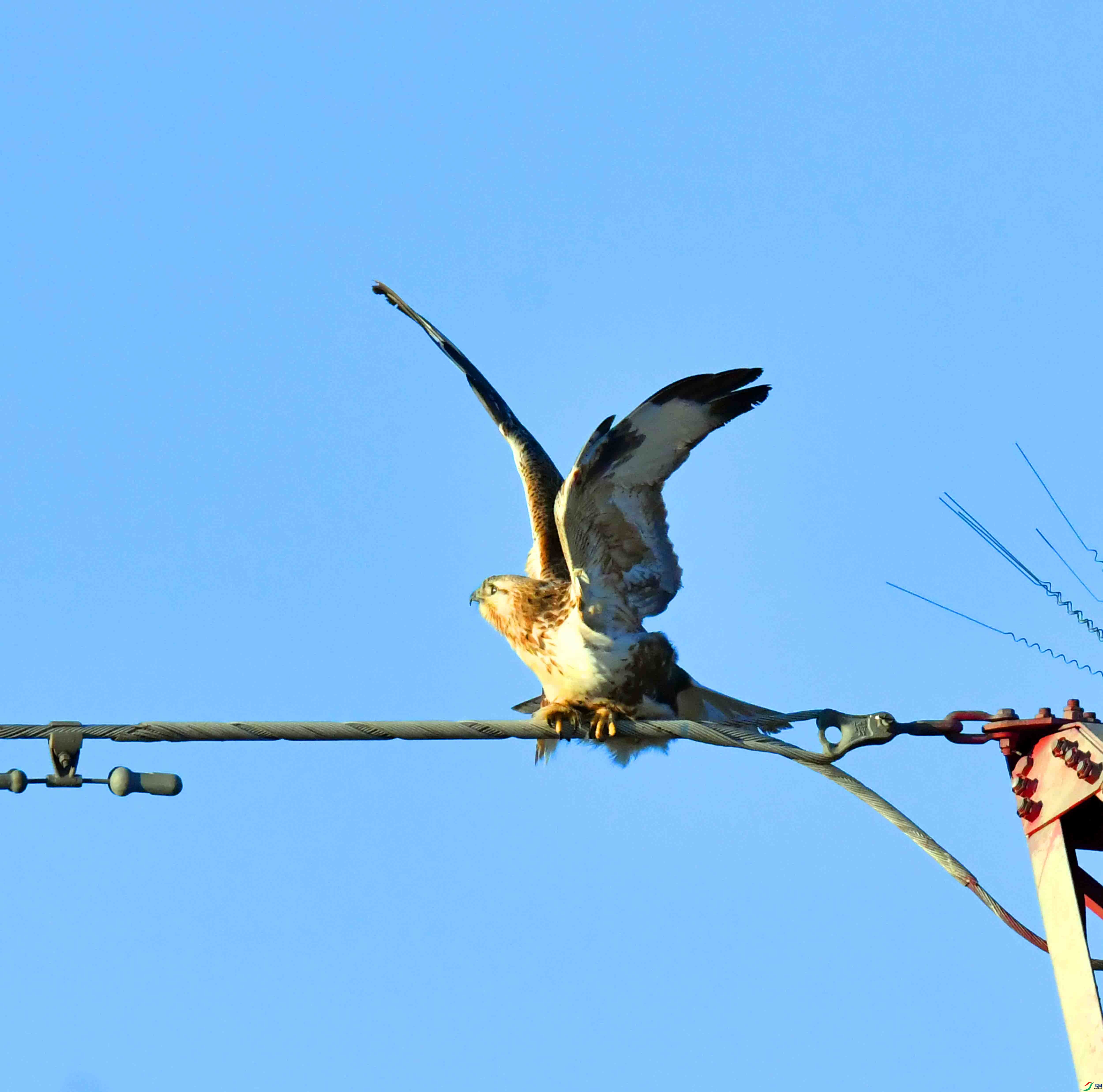 DSC_0222.JPG