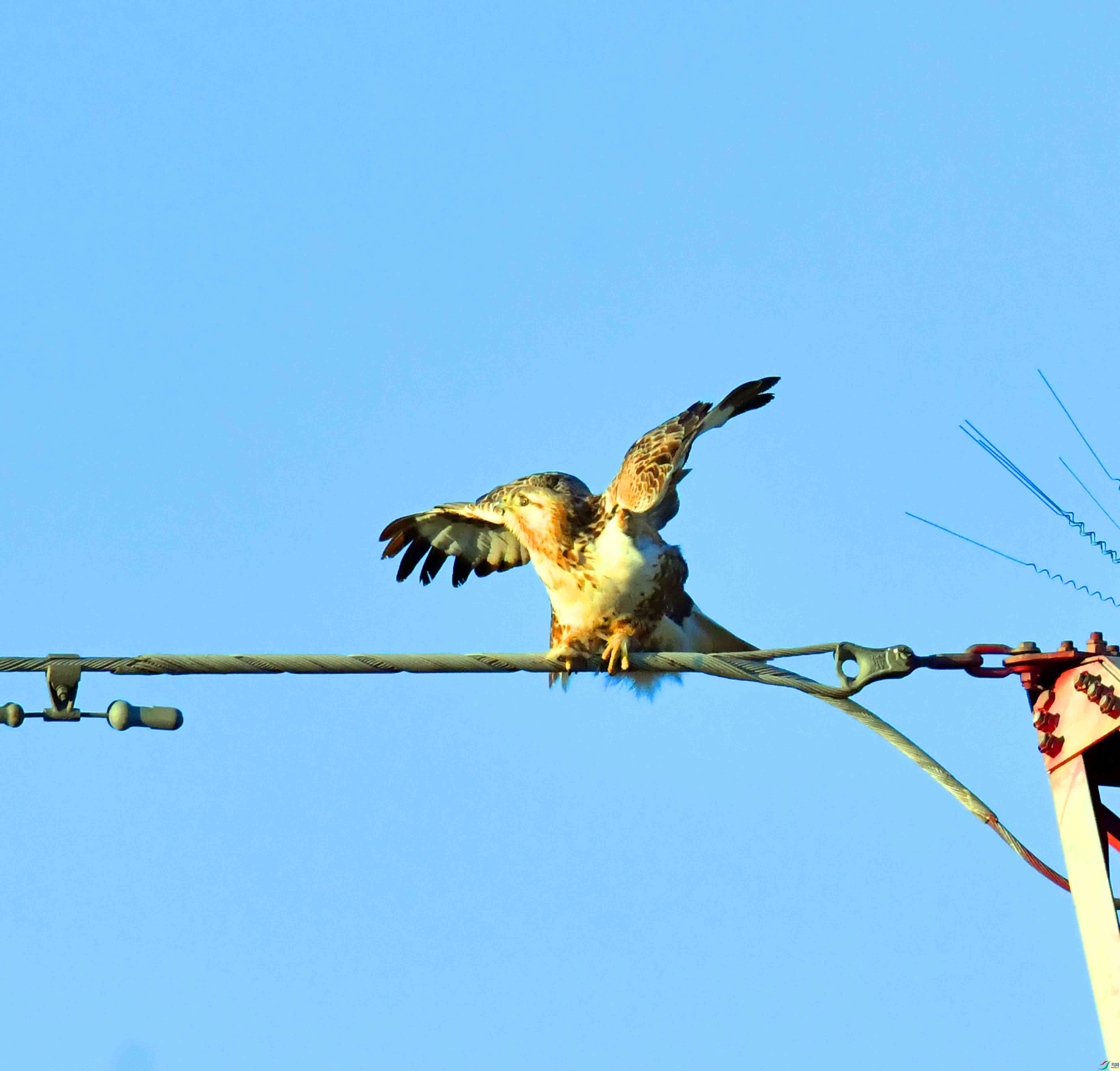 DSC_0224.JPG