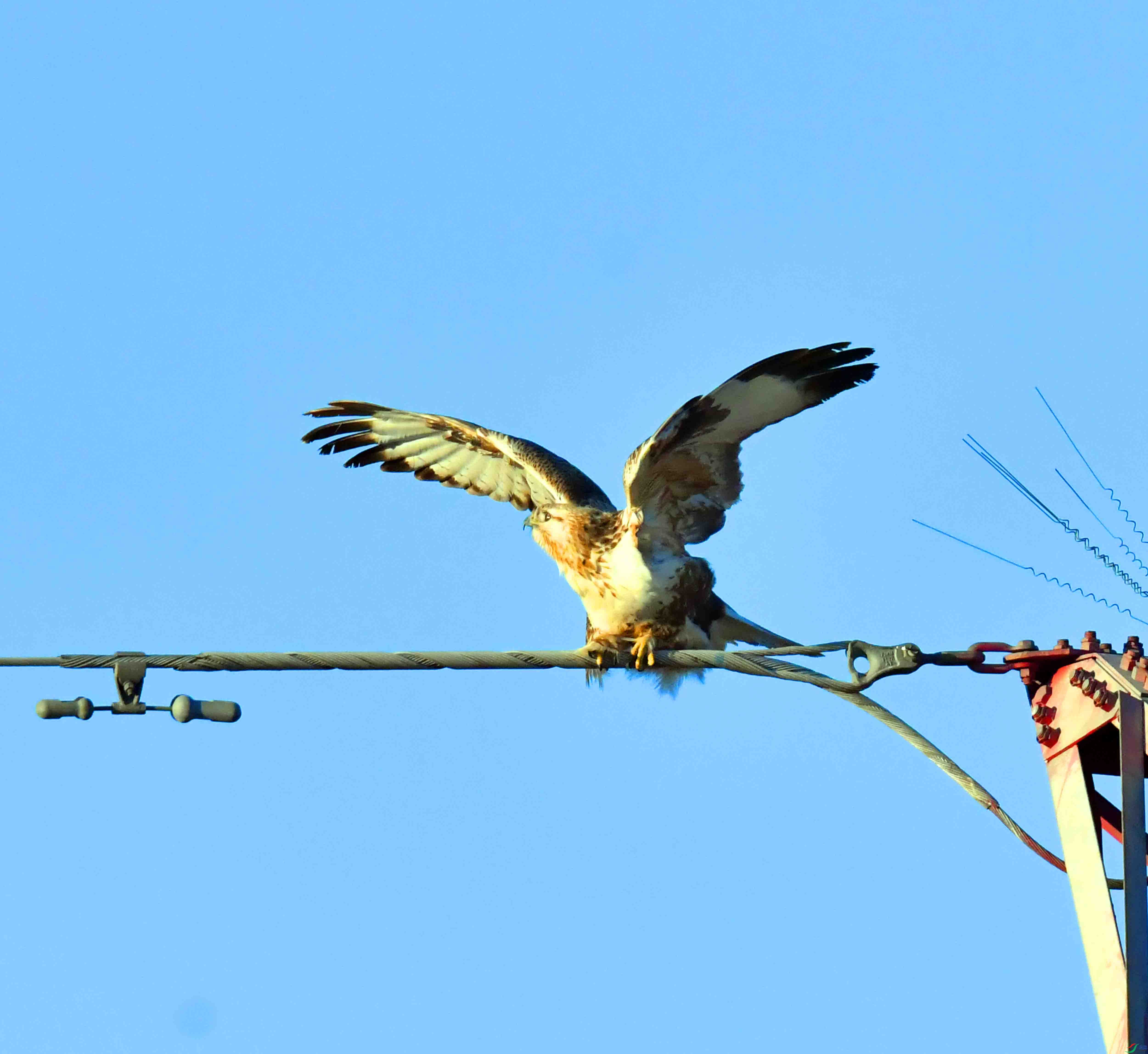 DSC_0223.JPG