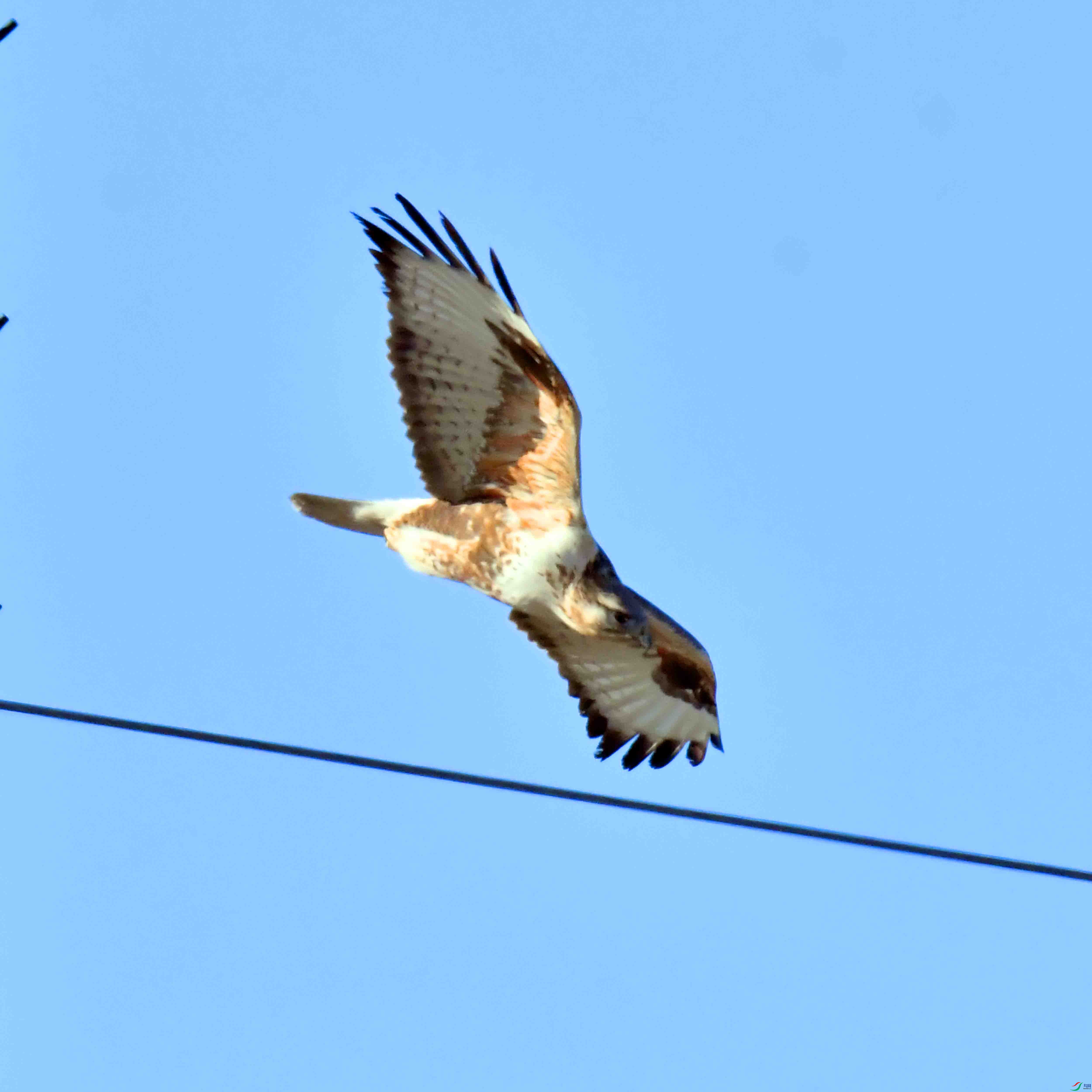 DSC_1947.JPG