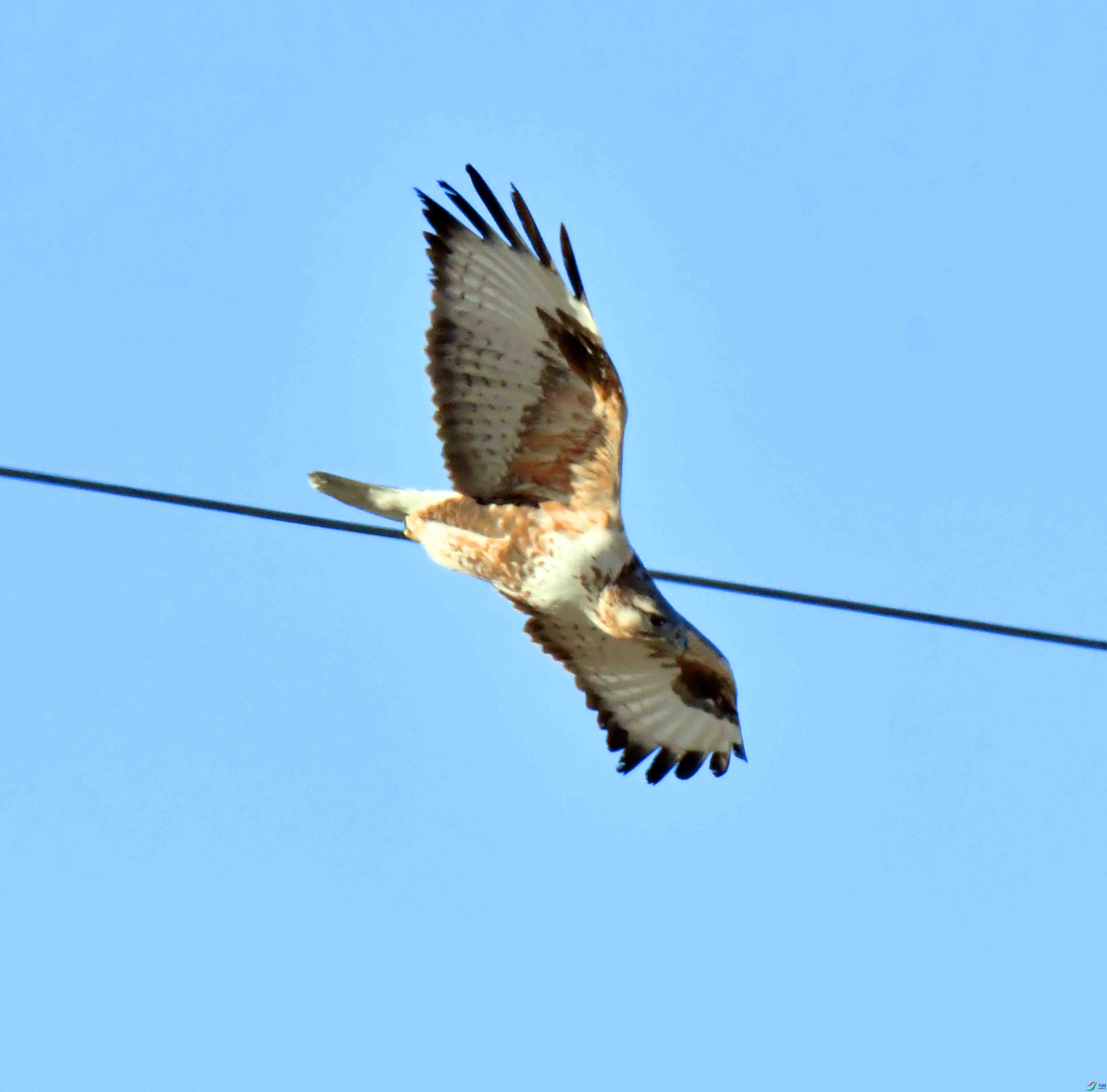 DSC_1948.JPG
