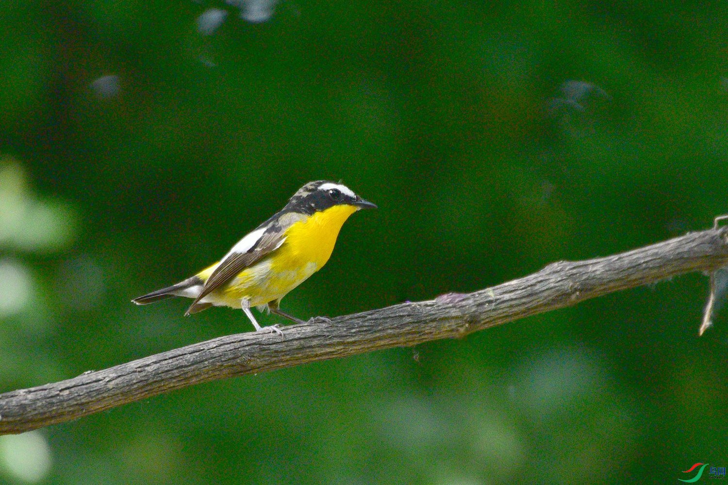 DSC_6534.JPG