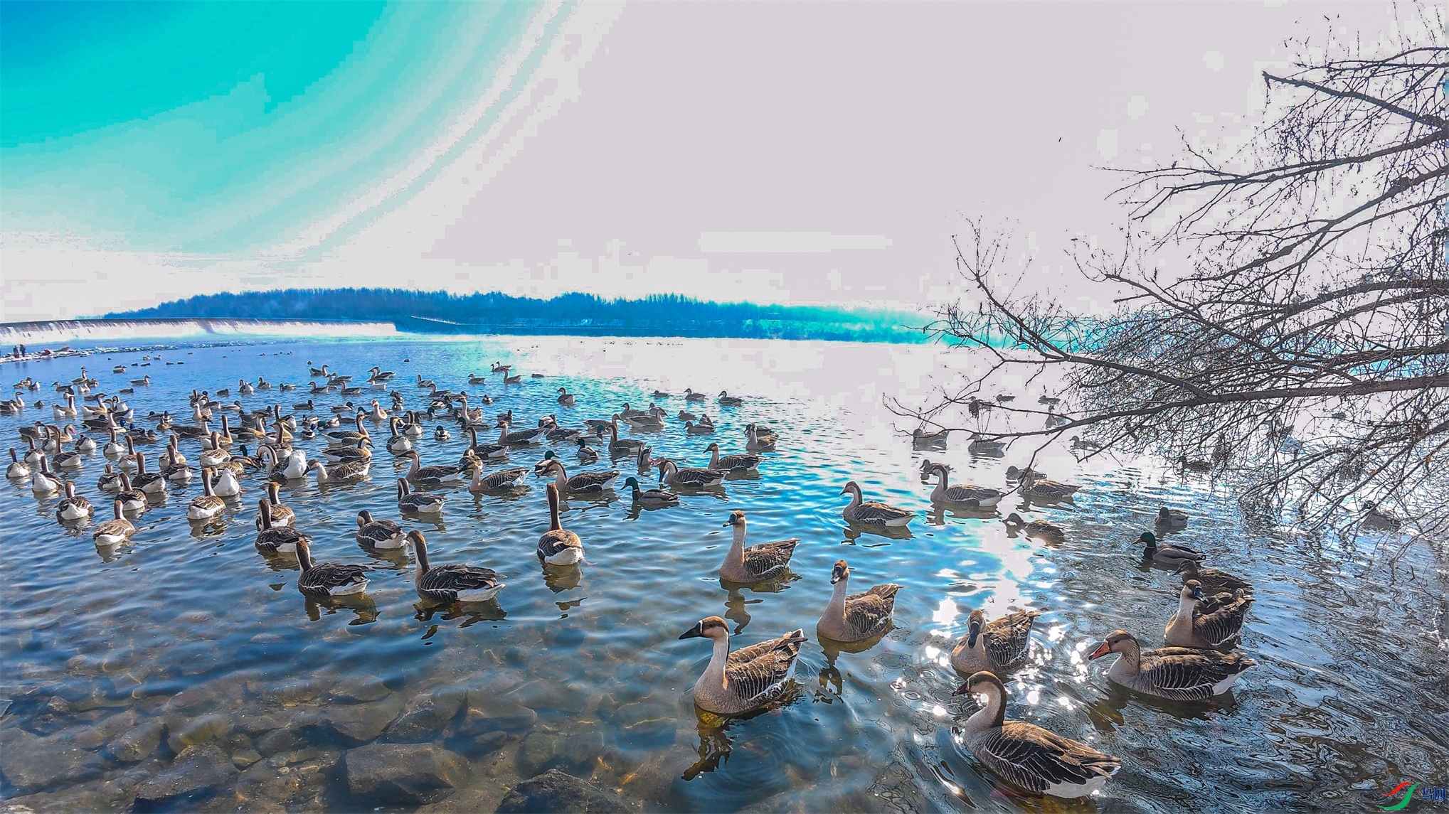 DJI_20250209100907_0032_D_004 ����1.jpg