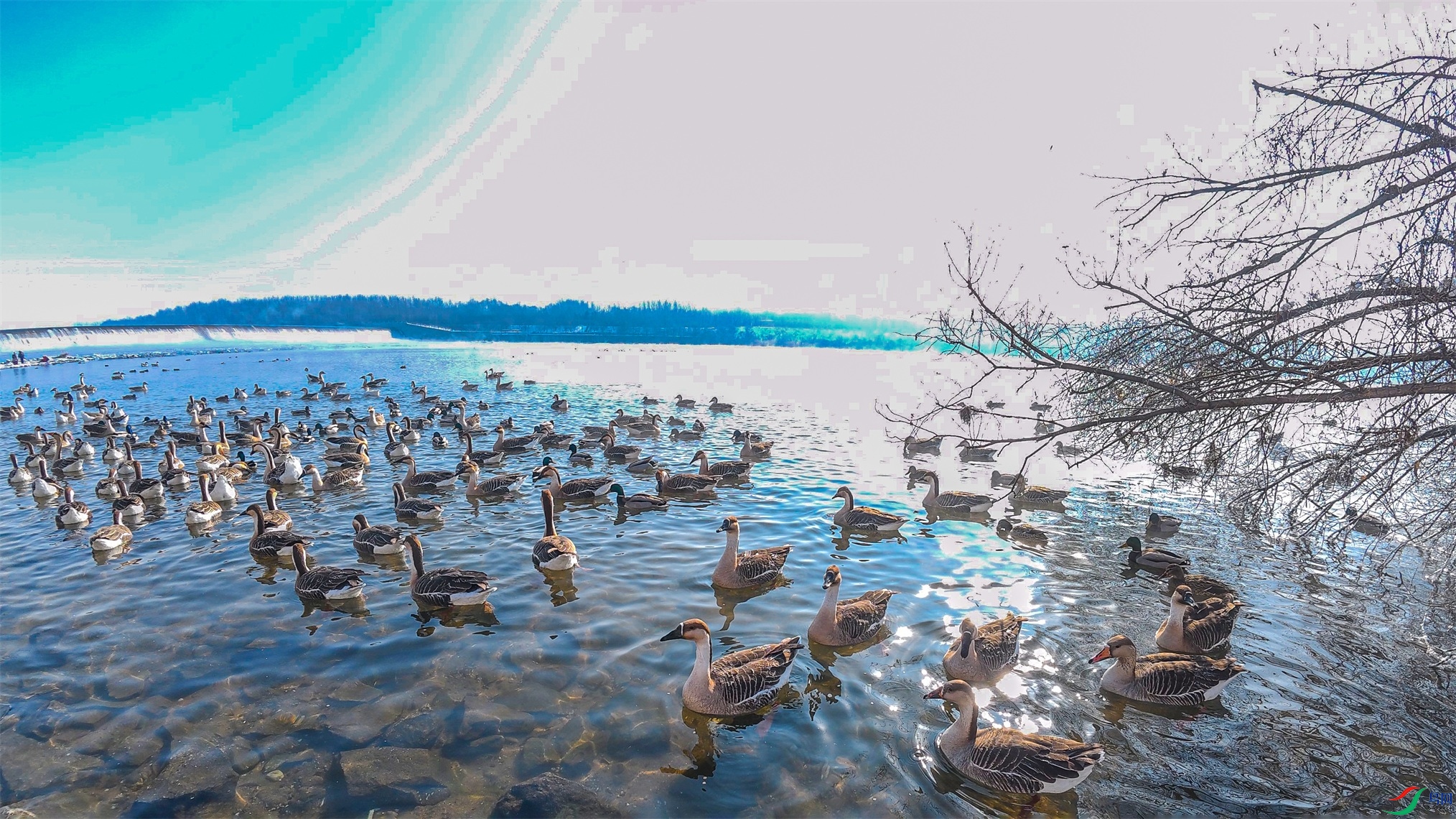 DJI_20250209100907_0032_D_005 ����1.jpg